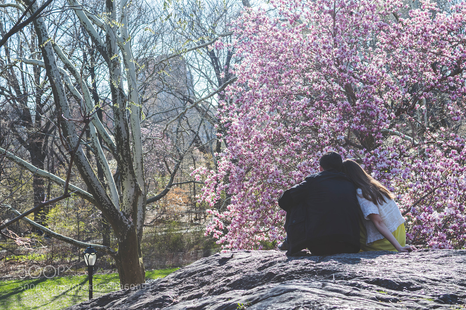Nikon D5300 sample photo. Safe photography
