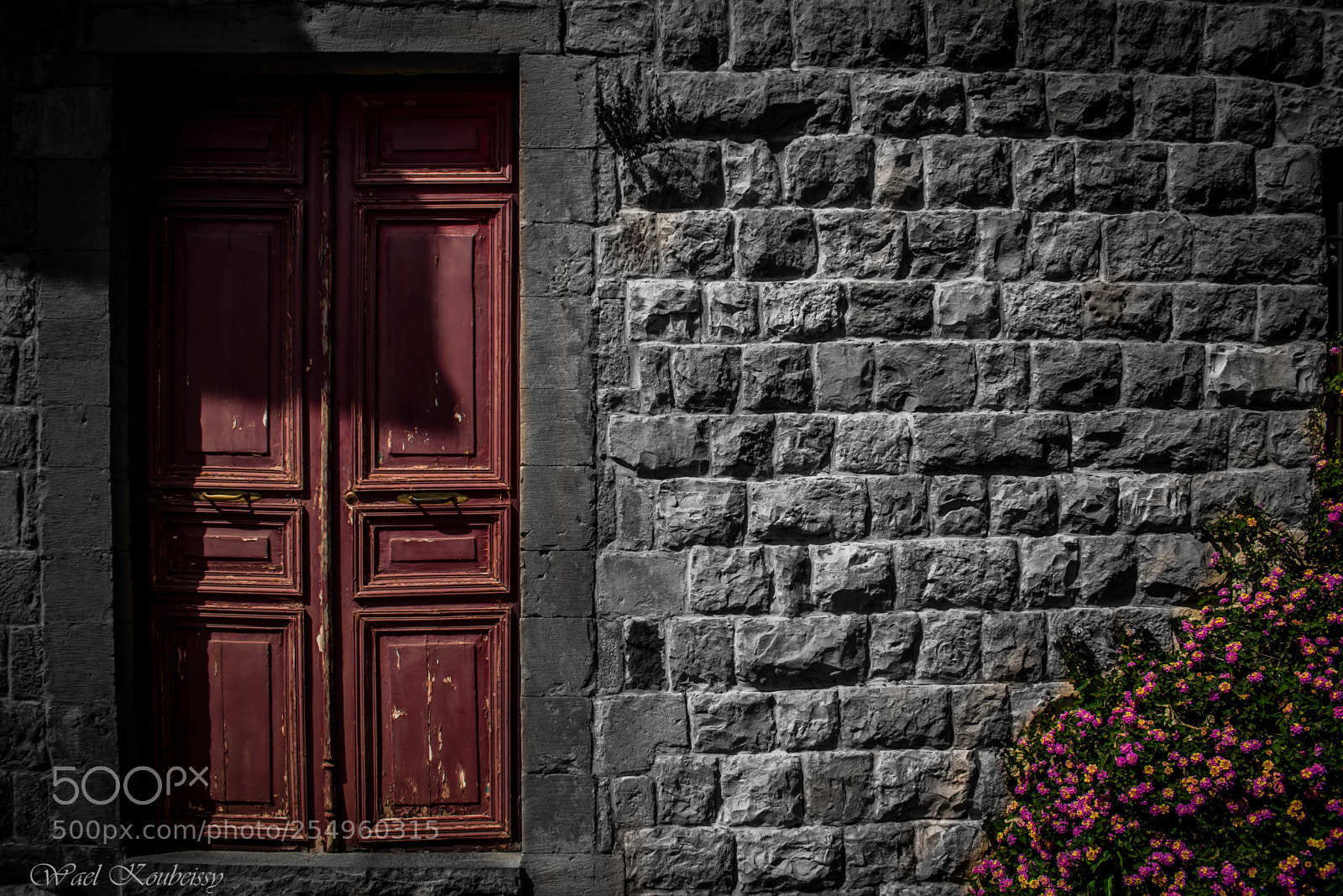 Nikon D5500 sample photo. The old door photography