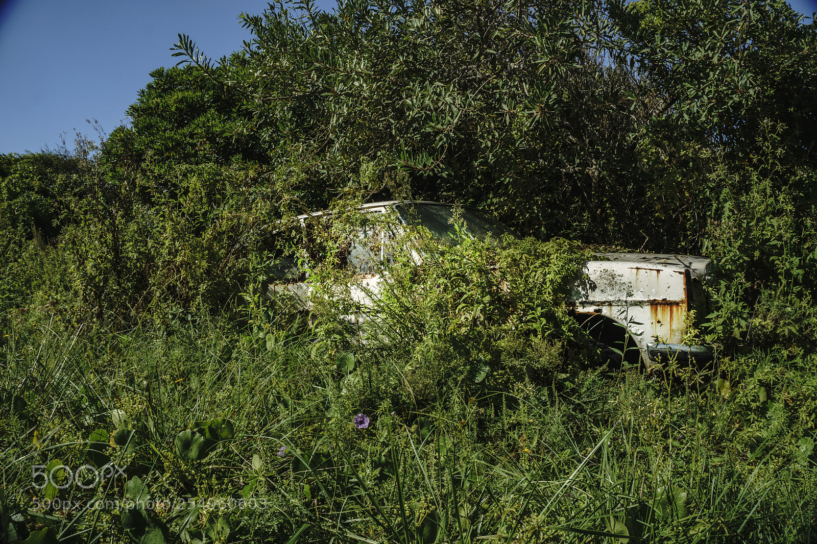 Sony a6000 sample photo. Coche viejo - old photography