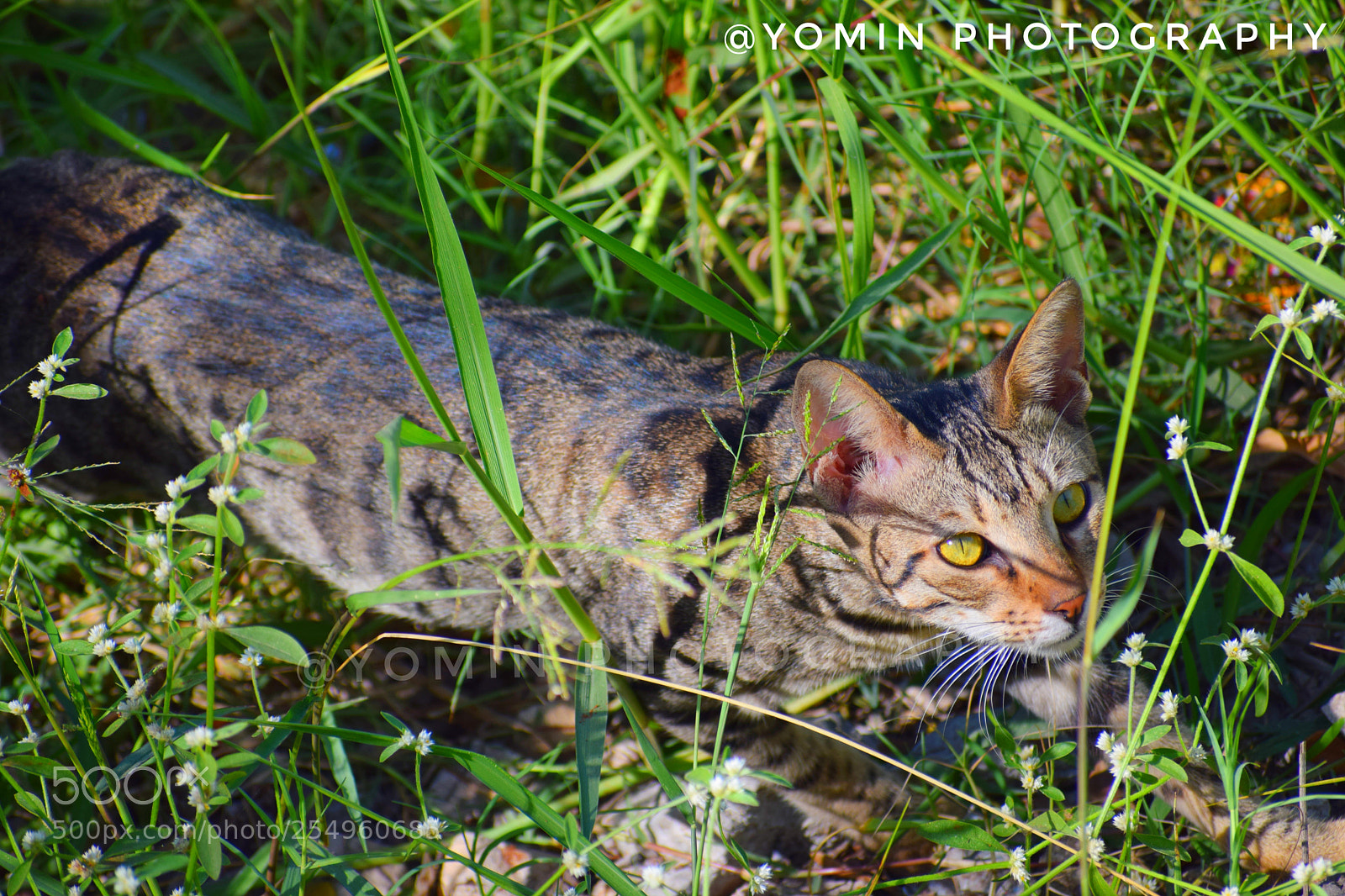 Nikon D3300 sample photo. Untitled photography