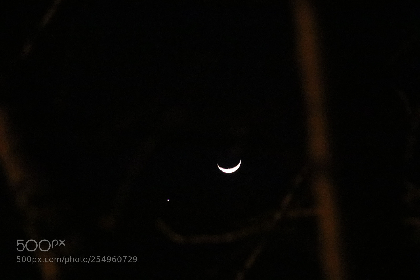 Canon EOS 80D sample photo. Untitled photography
