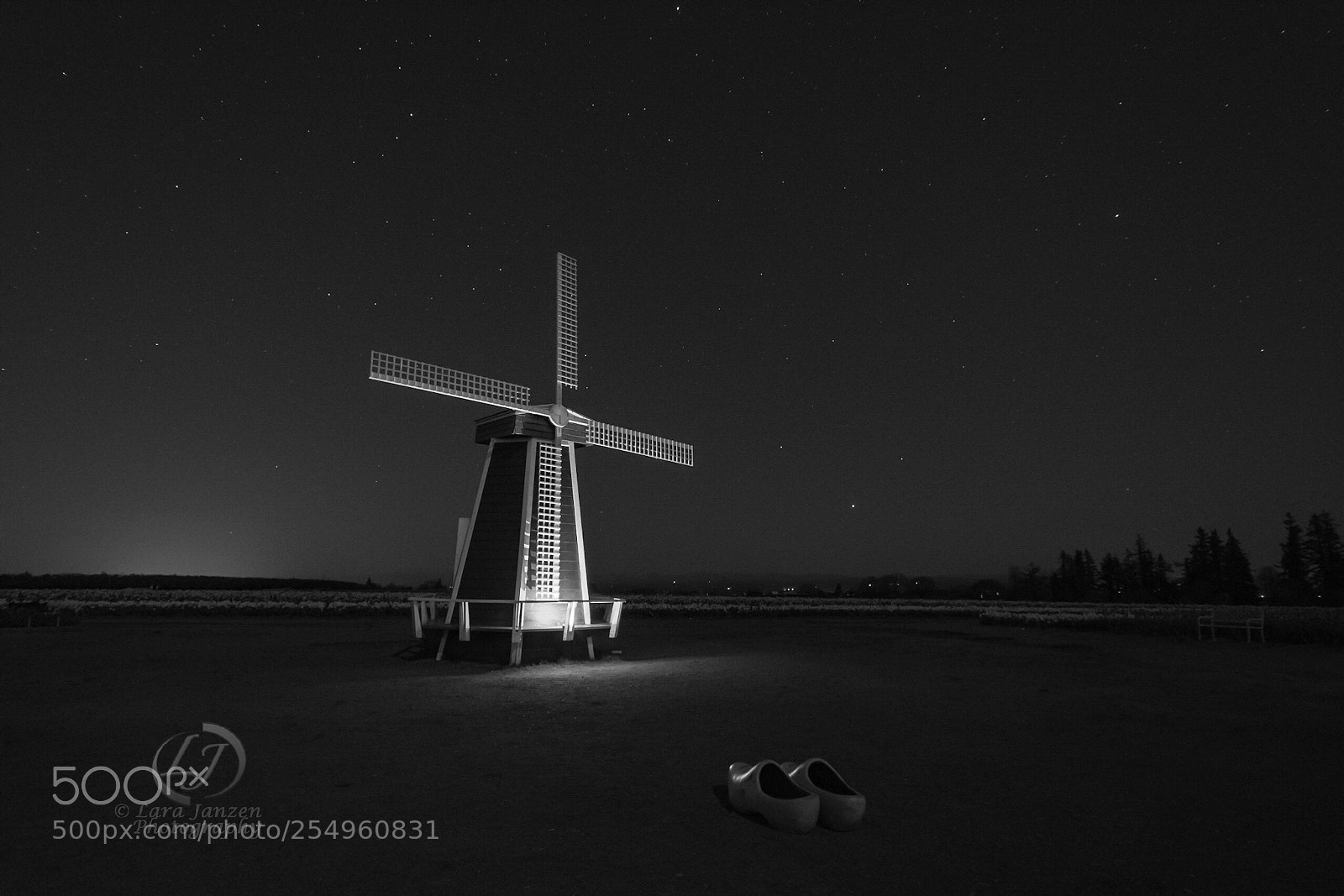 Nikon D7200 sample photo. Windmill under a starry photography