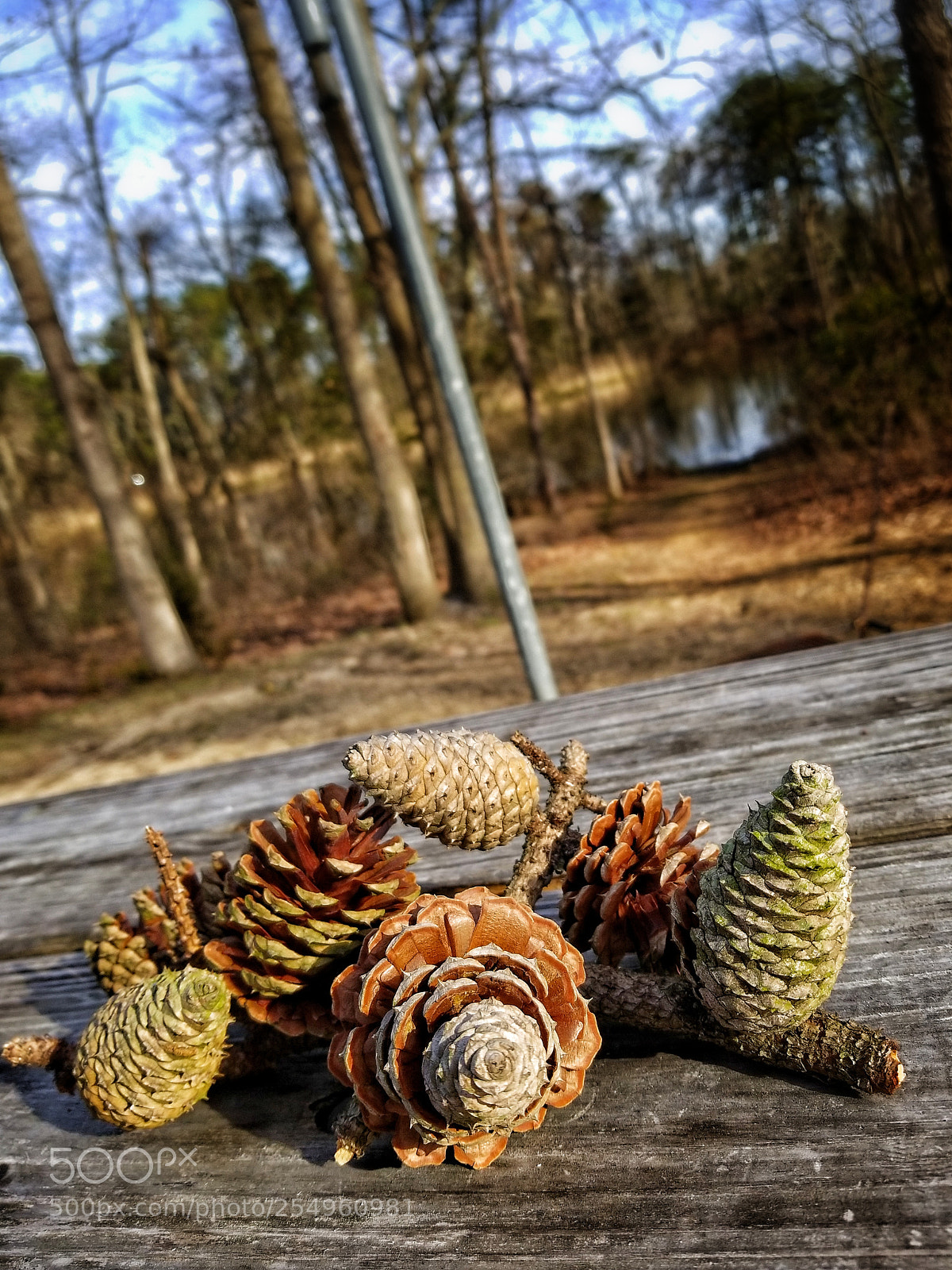 Samsung Galaxy S8+ sample photo. Untitled photography