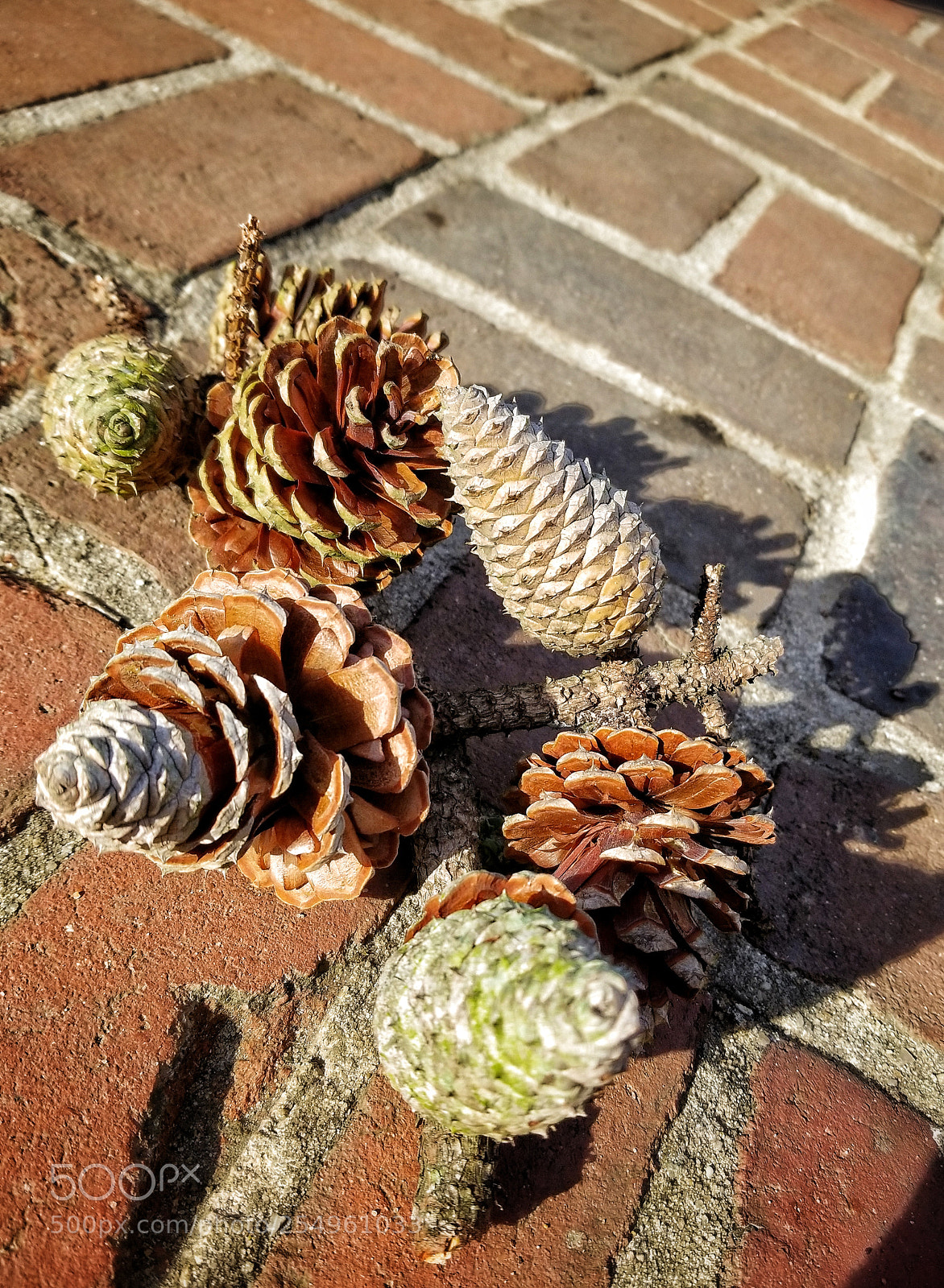 Samsung Galaxy S8+ sample photo. Untitled photography