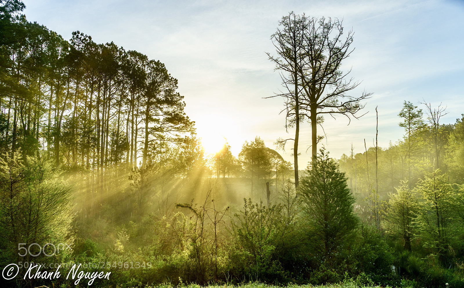 Sony a7 II sample photo. Good morning! photography