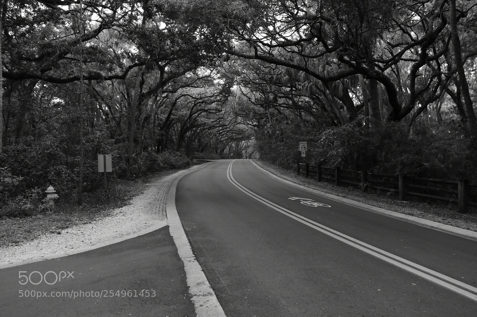 Nikon D3400 sample photo. Walk back in time... photography