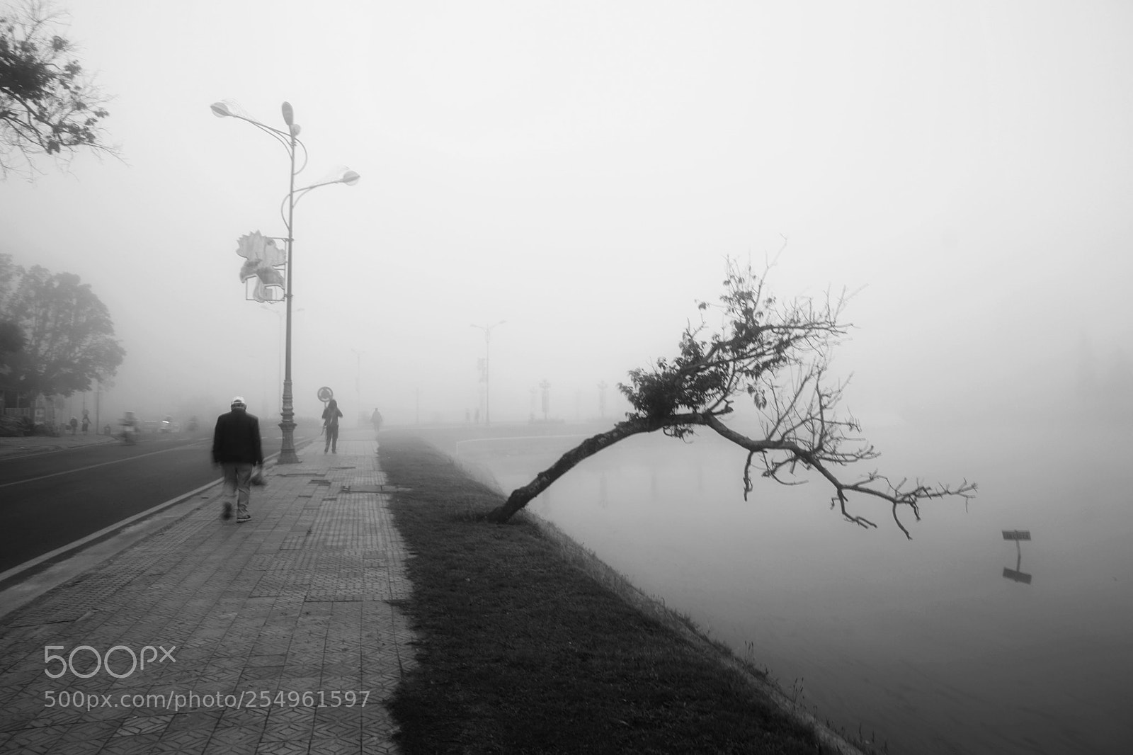 Sony a6000 sample photo. Fog in da lat photography