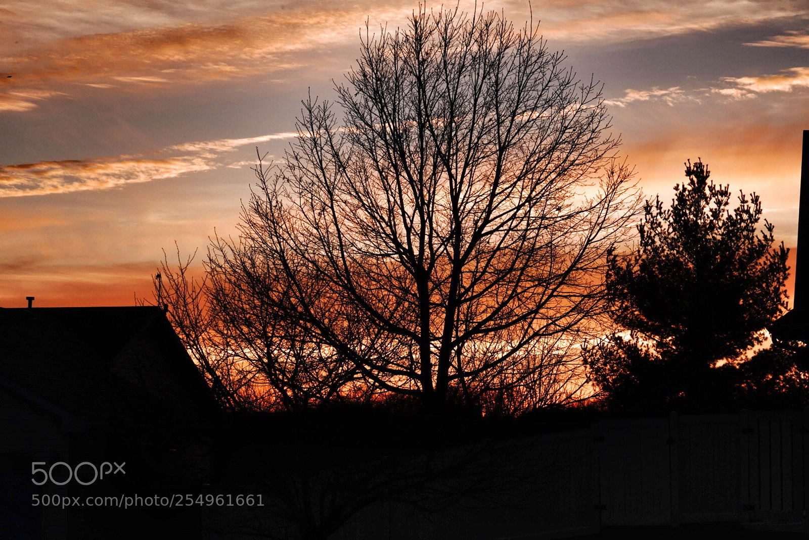 Sony a7 III sample photo. Sunset photography