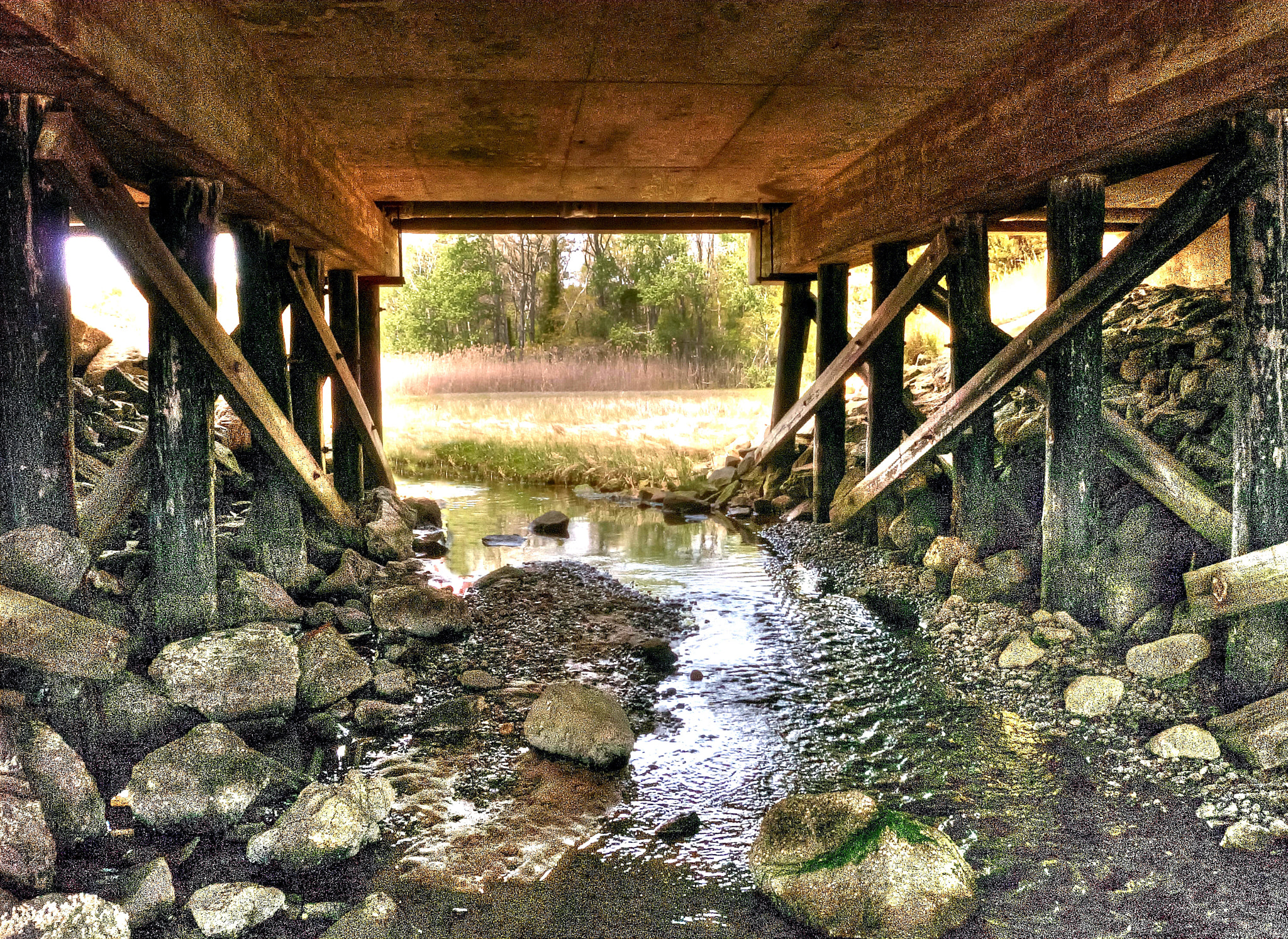 Olympus C7070WZ sample photo. Under the bridge [reworked] photography