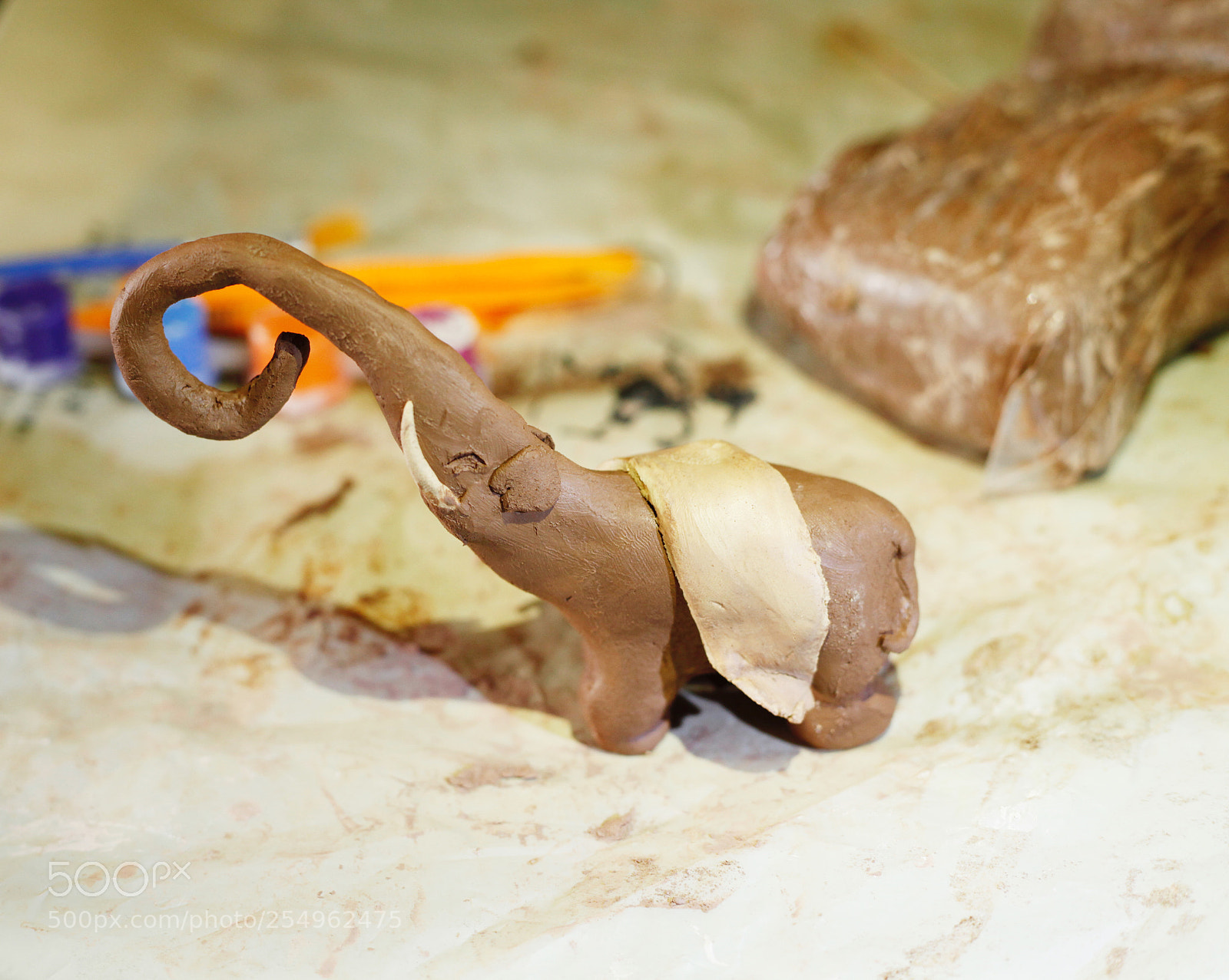 Canon EOS 5D Mark II sample photo. Elephant by hand photography
