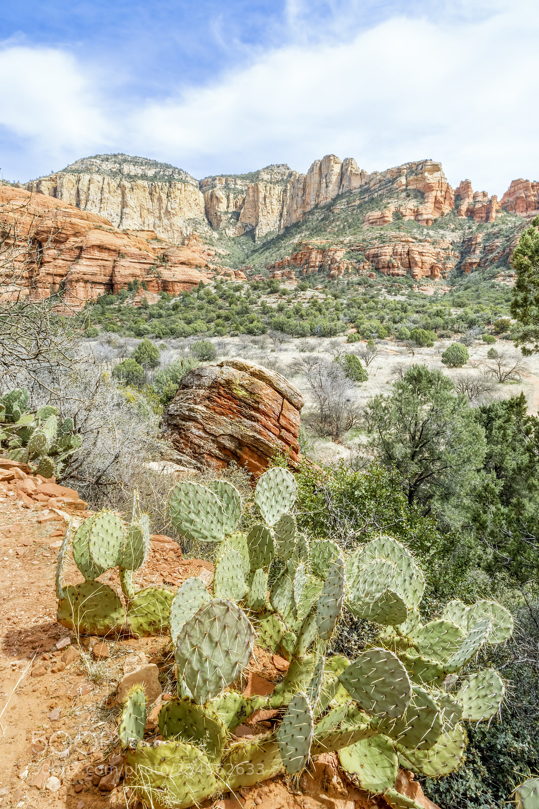 Canon EOS 5D Mark IV sample photo. Red canyon near sedona photography