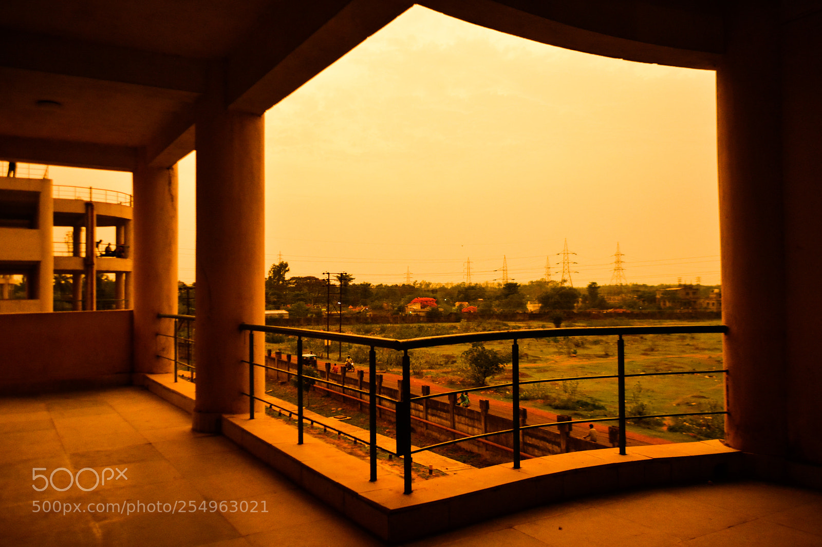 Nikon D5200 sample photo. Yellow photography