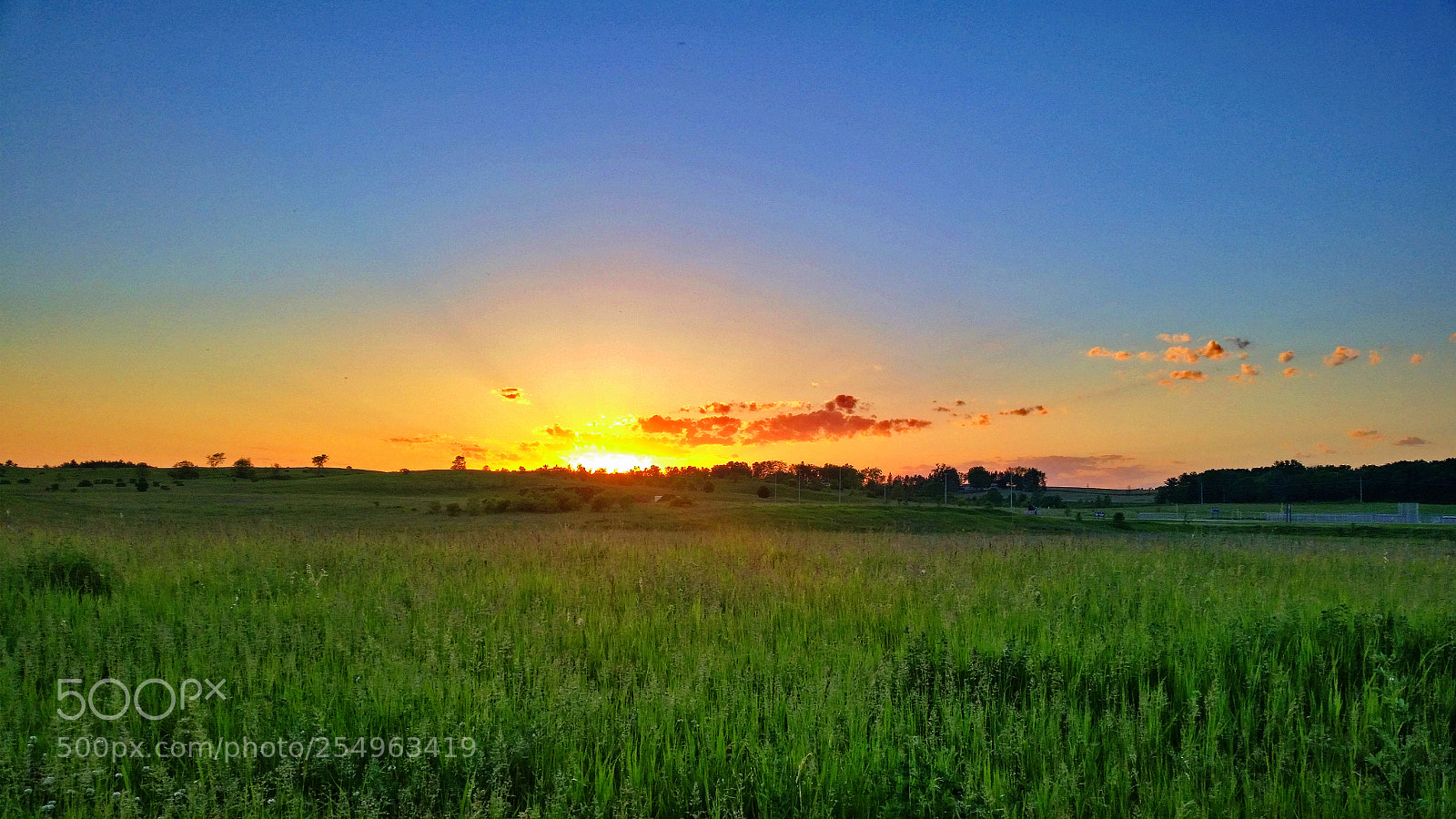 Samsung Galaxy S5 sample photo. Sunset field photography
