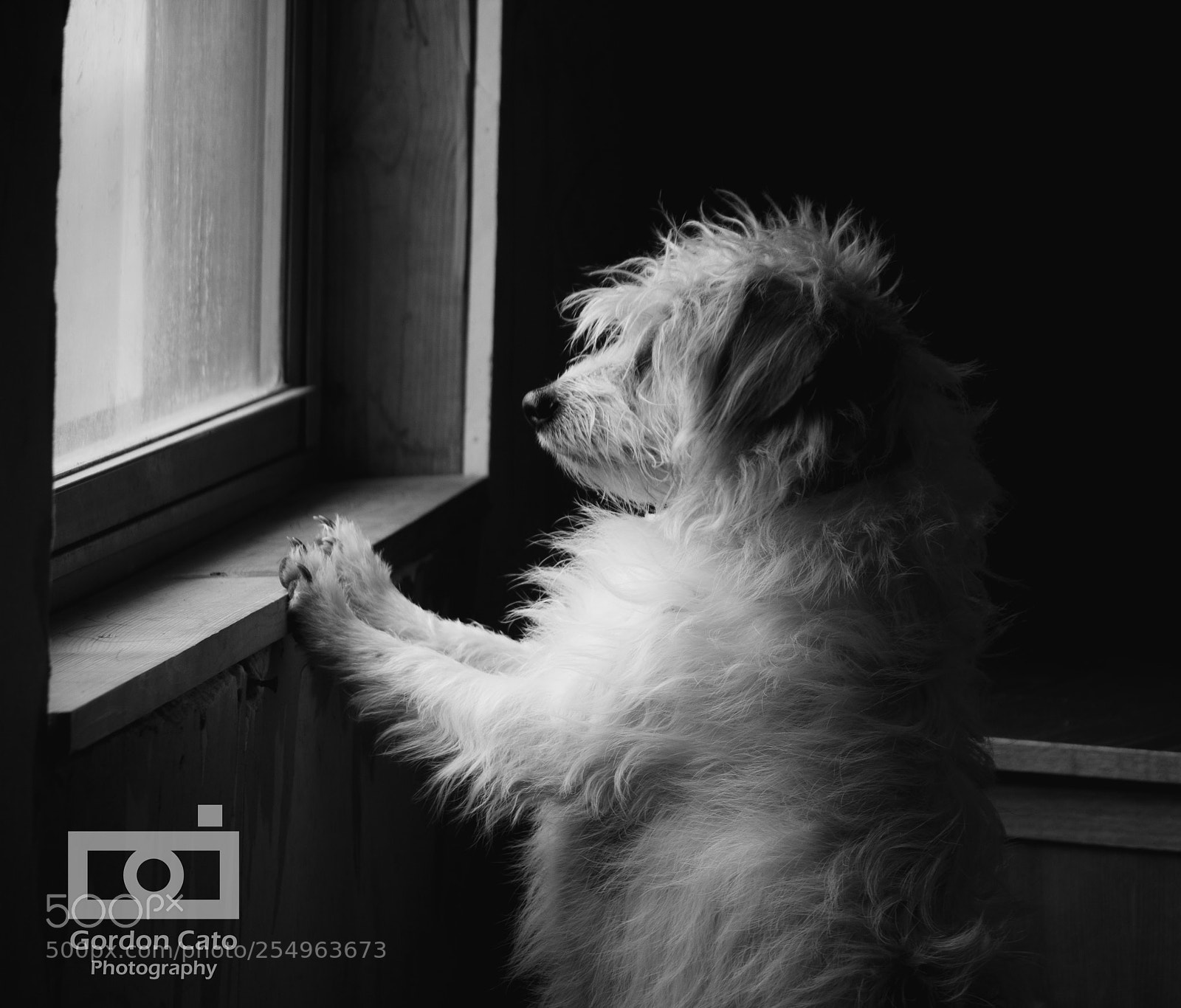 Canon EOS 60D sample photo. The patience of love photography