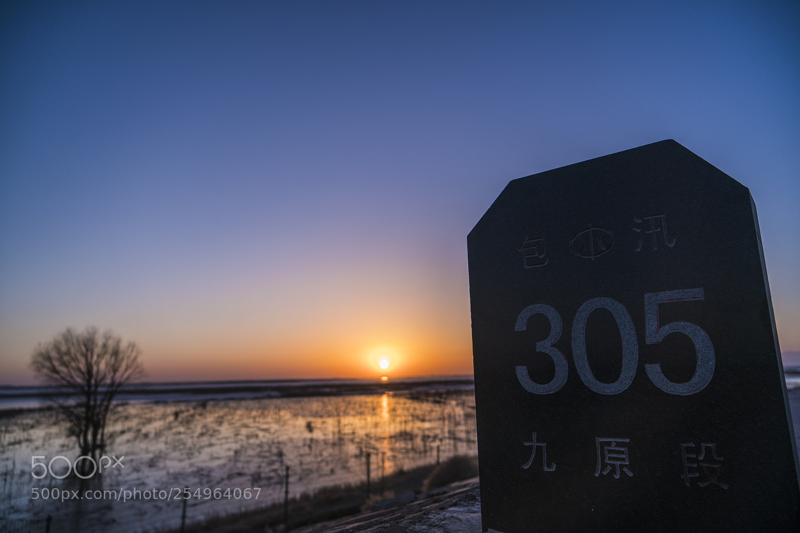 Sony a7R II sample photo. 305 photography