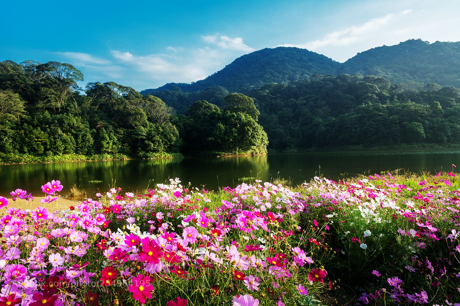 Nikon D7100 sample photo. 美景 photography