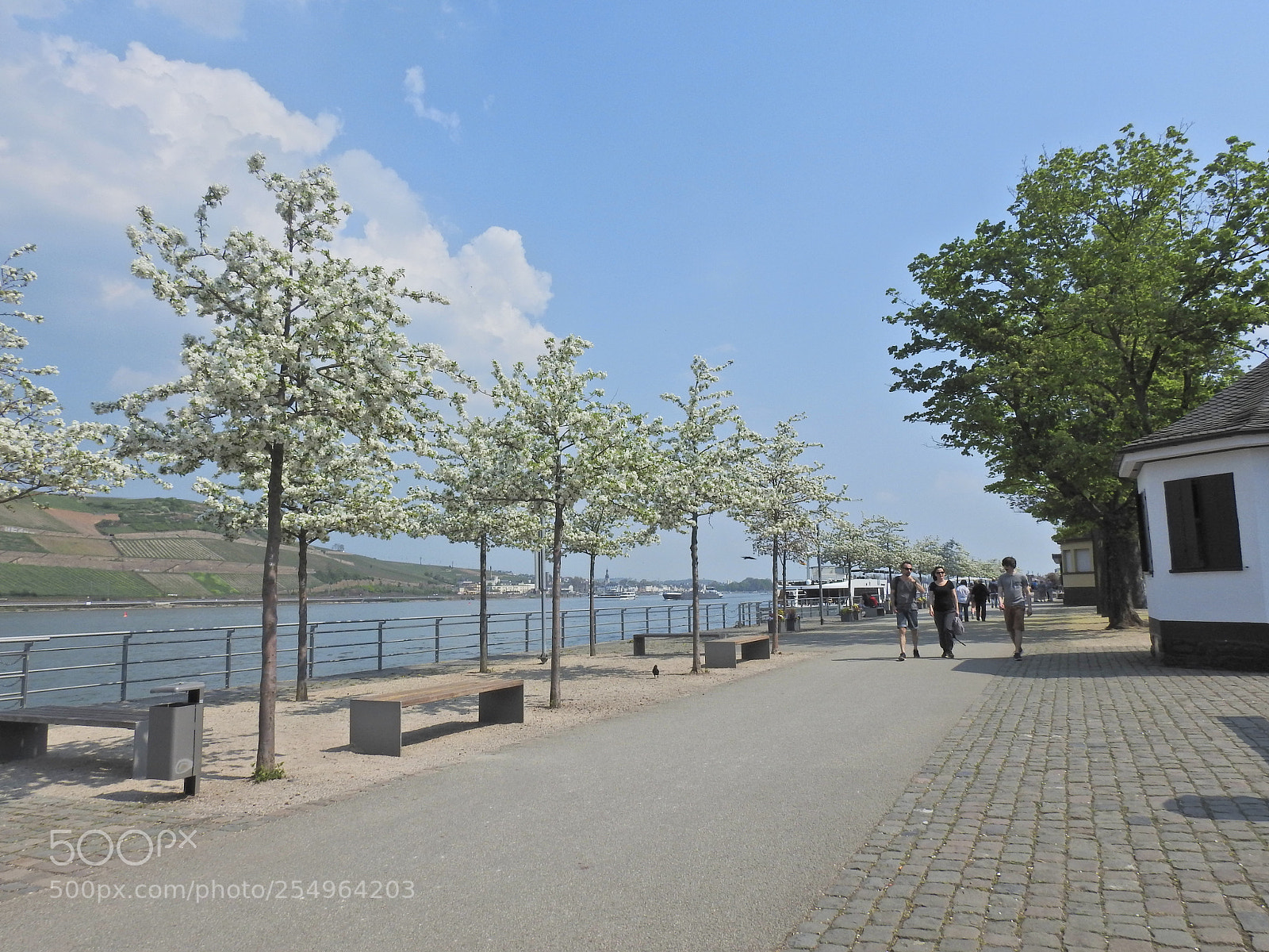 Nikon Coolpix P900 sample photo. Sunny promenade photography