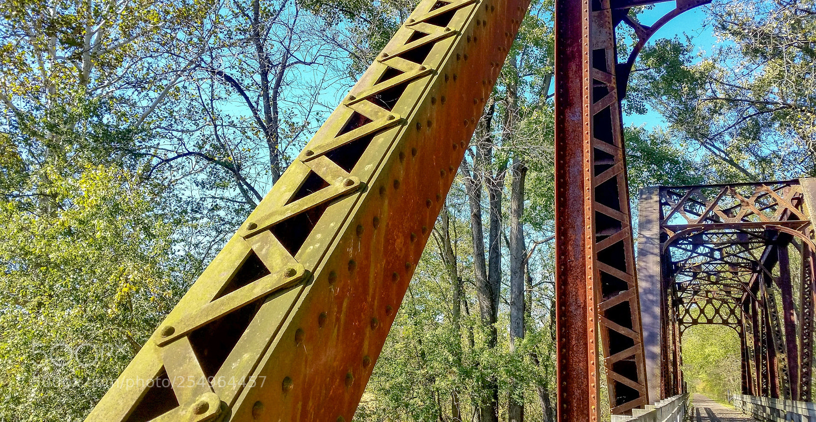 Samsung Galaxy S5 sample photo. Focal point photography