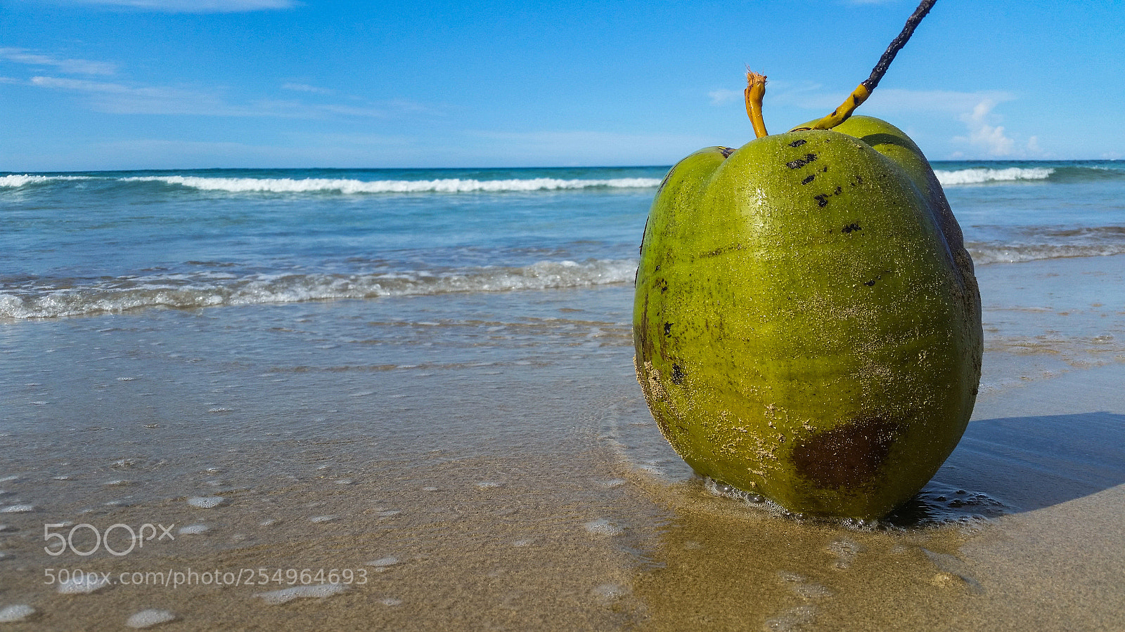 Samsung Galaxy S5 sample photo. Alone on the island photography