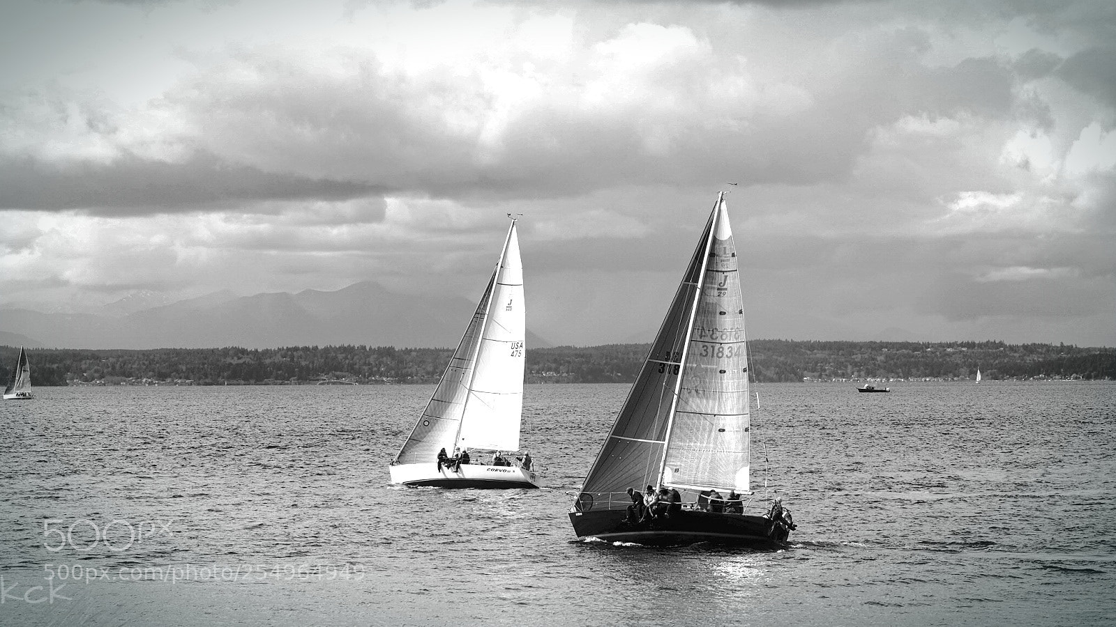 Olympus OM-D E-M10 II sample photo. The chase. photography