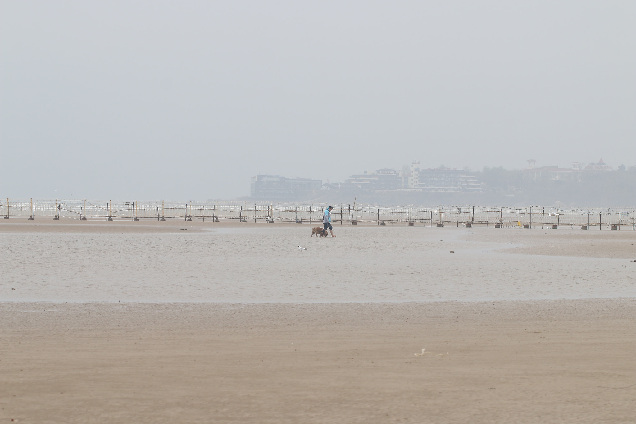 Canon EOS 70D + Canon EF 100mm F2.8L Macro IS USM sample photo. Sea.man and his dog photography