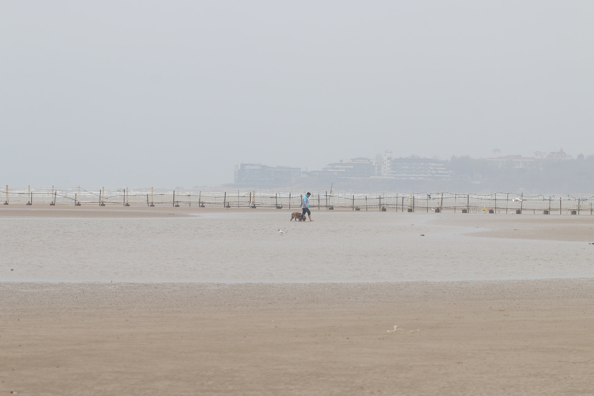 Canon EF 100mm F2.8L Macro IS USM sample photo. Sea.man and his dog photography