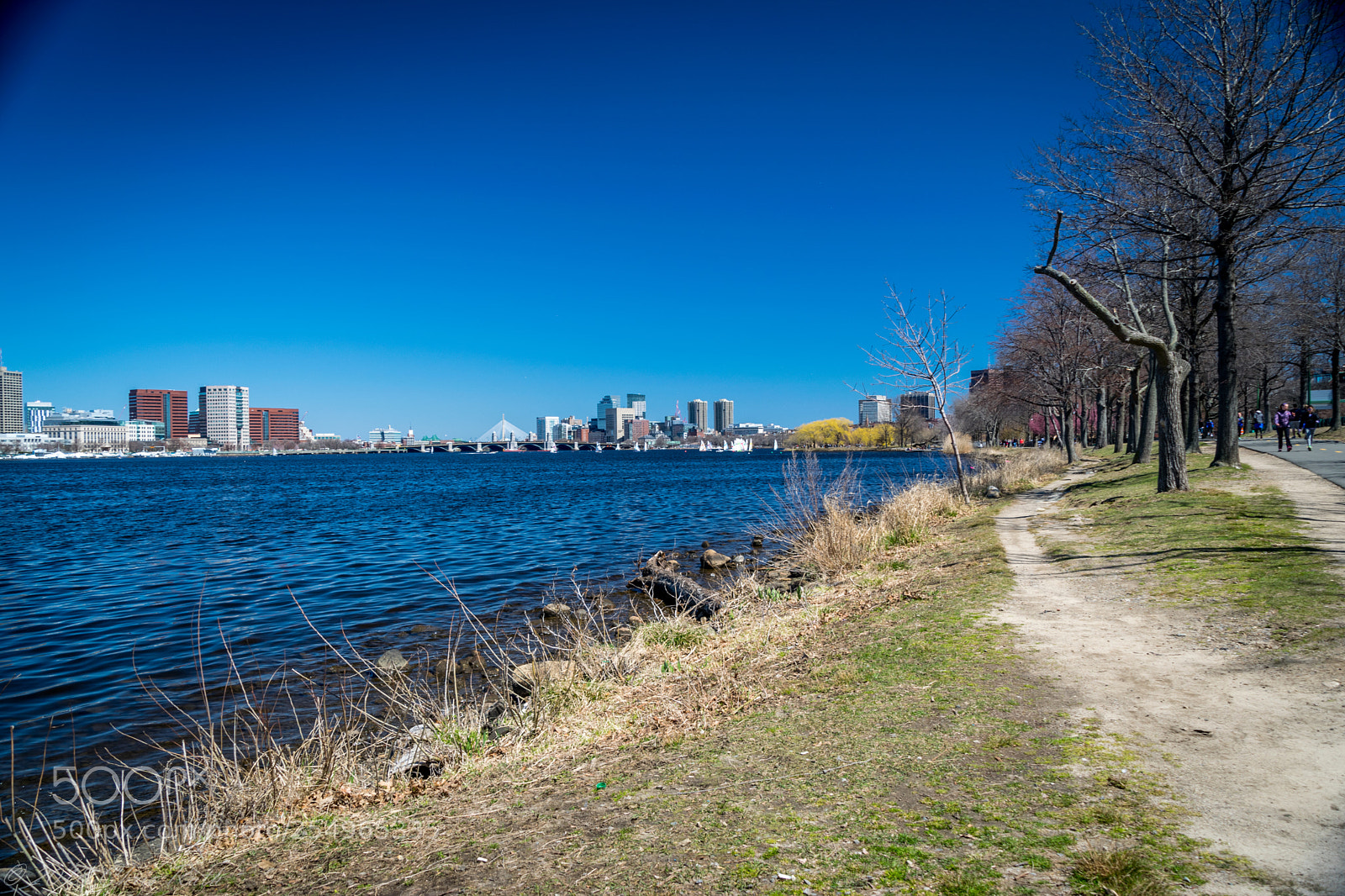Nikon D5300 sample photo. Boston photography
