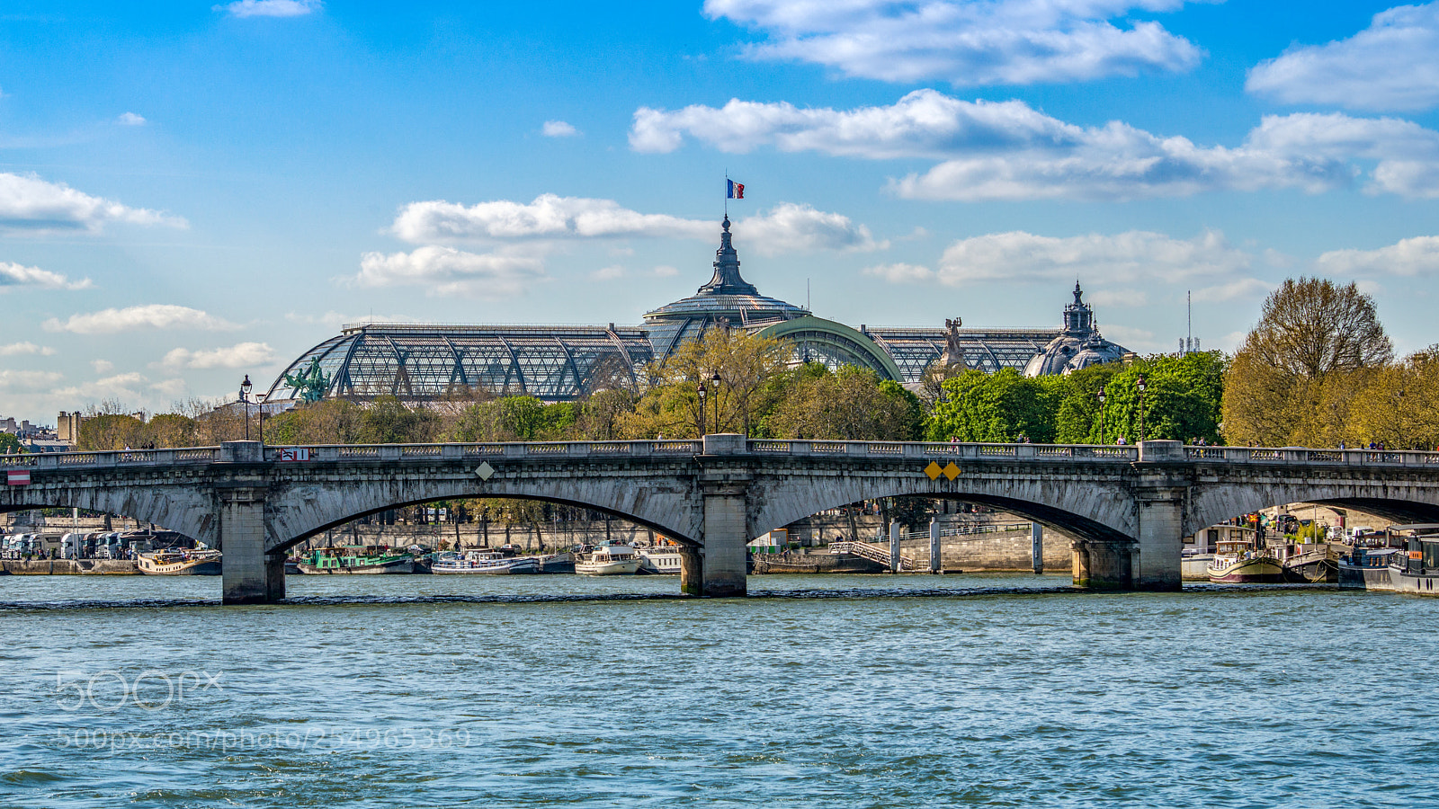 Nikon D3200 sample photo. Parisian bridge crossing the photography