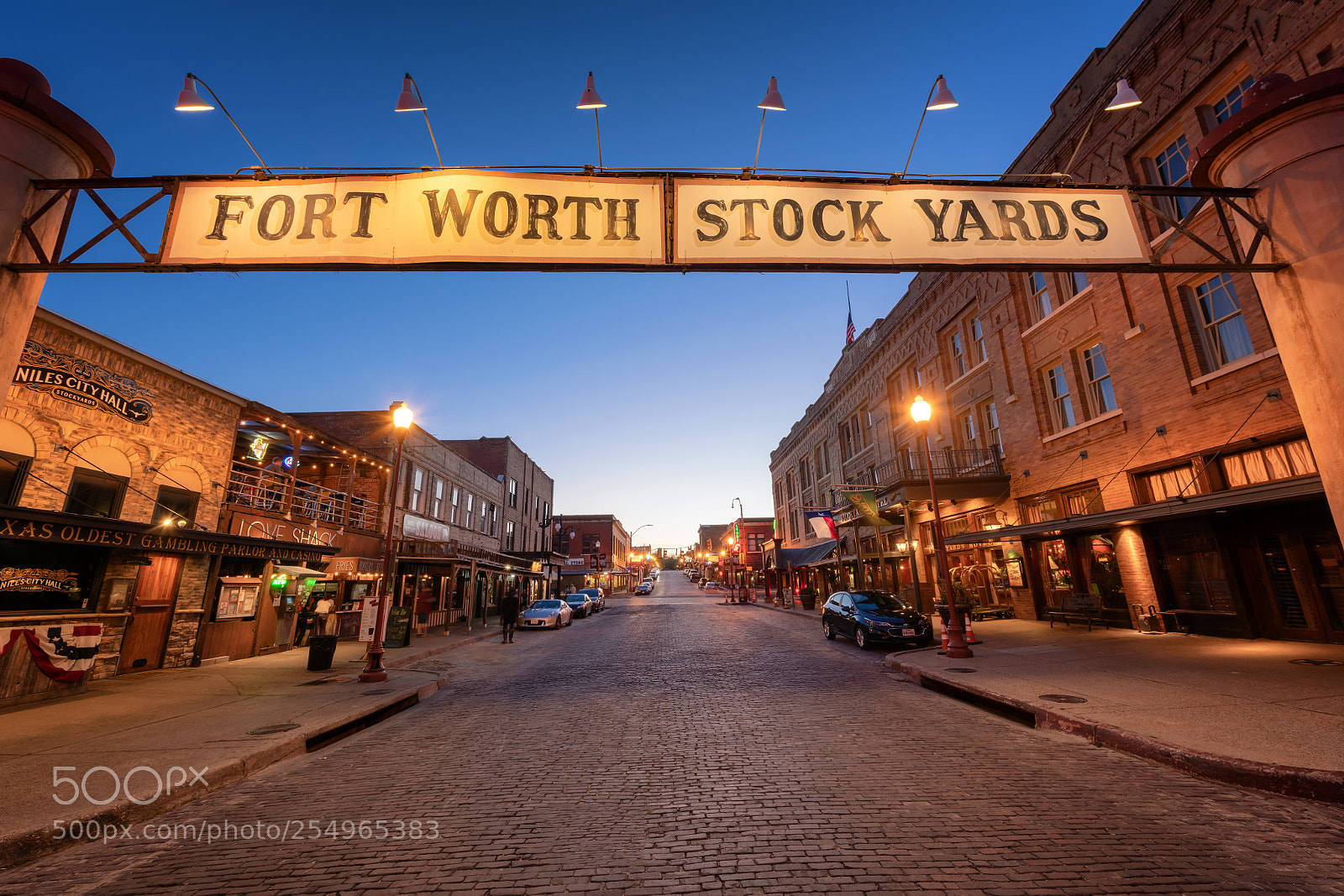 Nikon D850 sample photo. Stock yards photography
