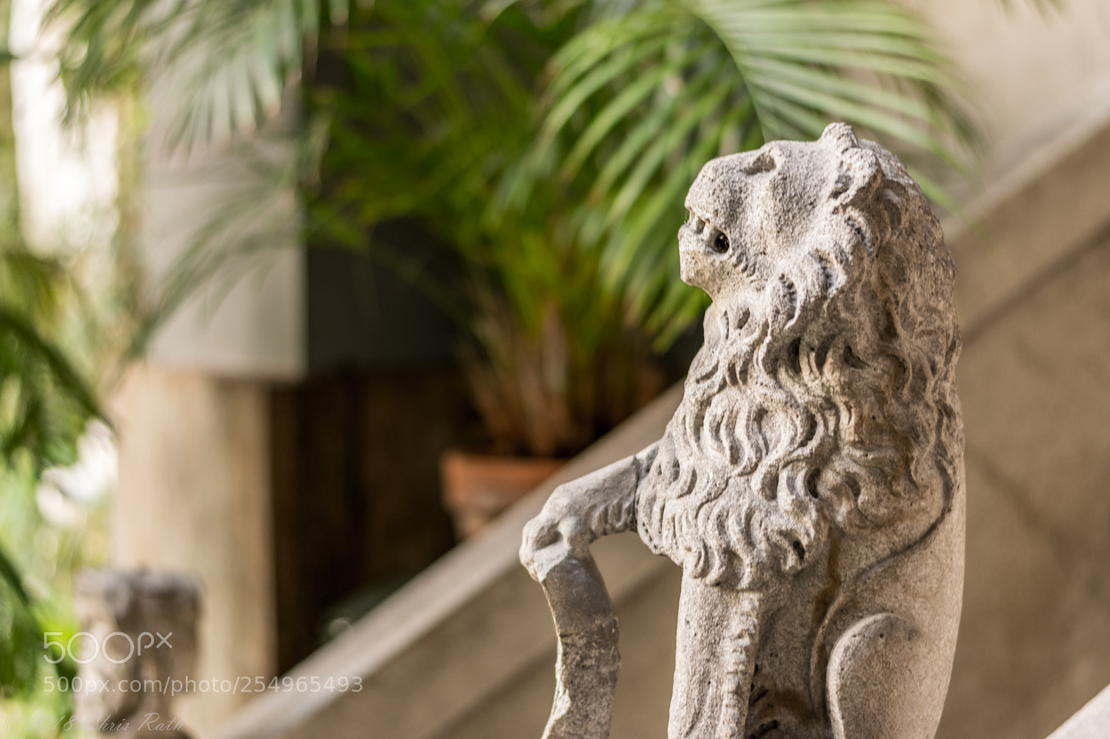 Nikon D5300 sample photo. Isabella stewart gardner museum photography