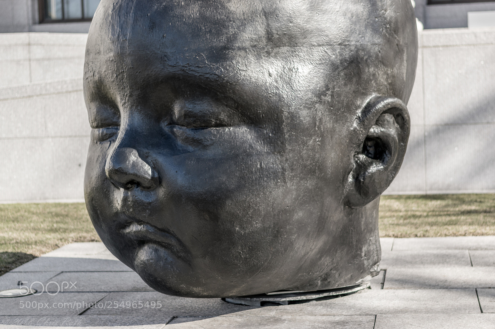 Nikon D5300 sample photo. Boston photography