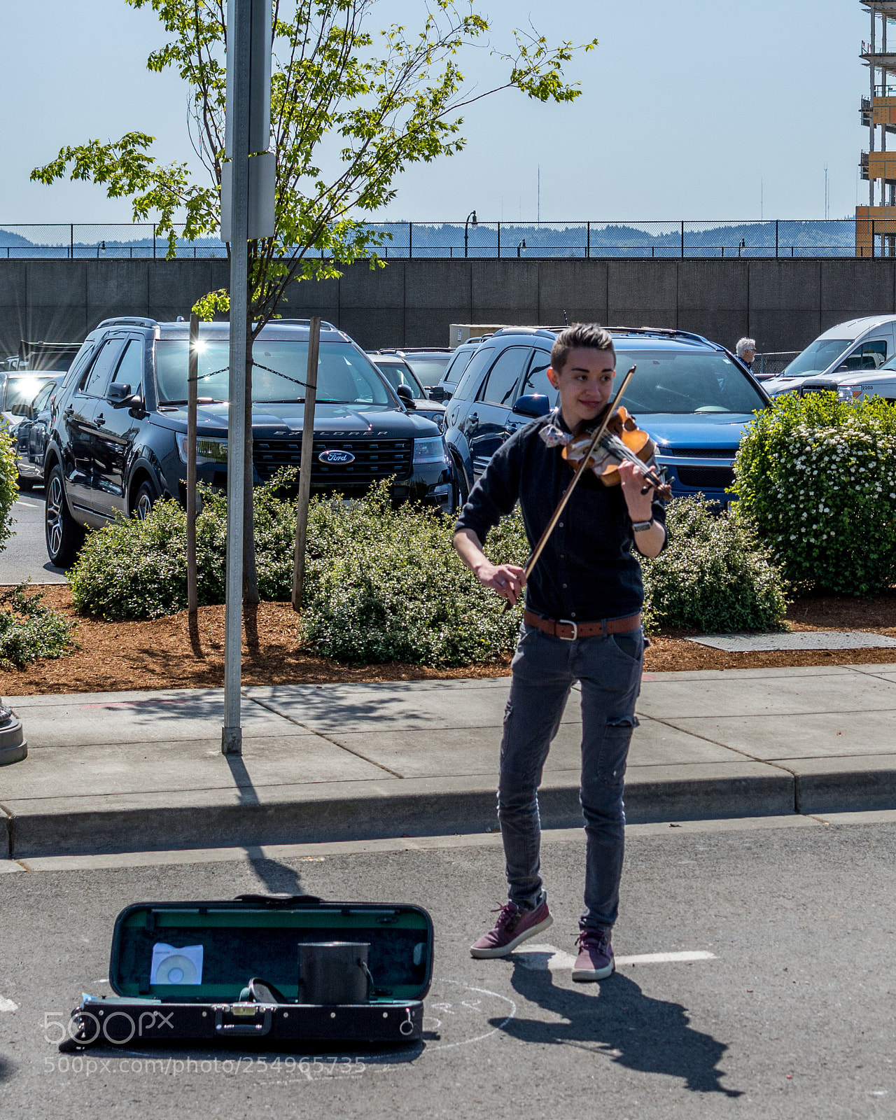Nikon D7100 sample photo. Market music: fancy fiddle photography