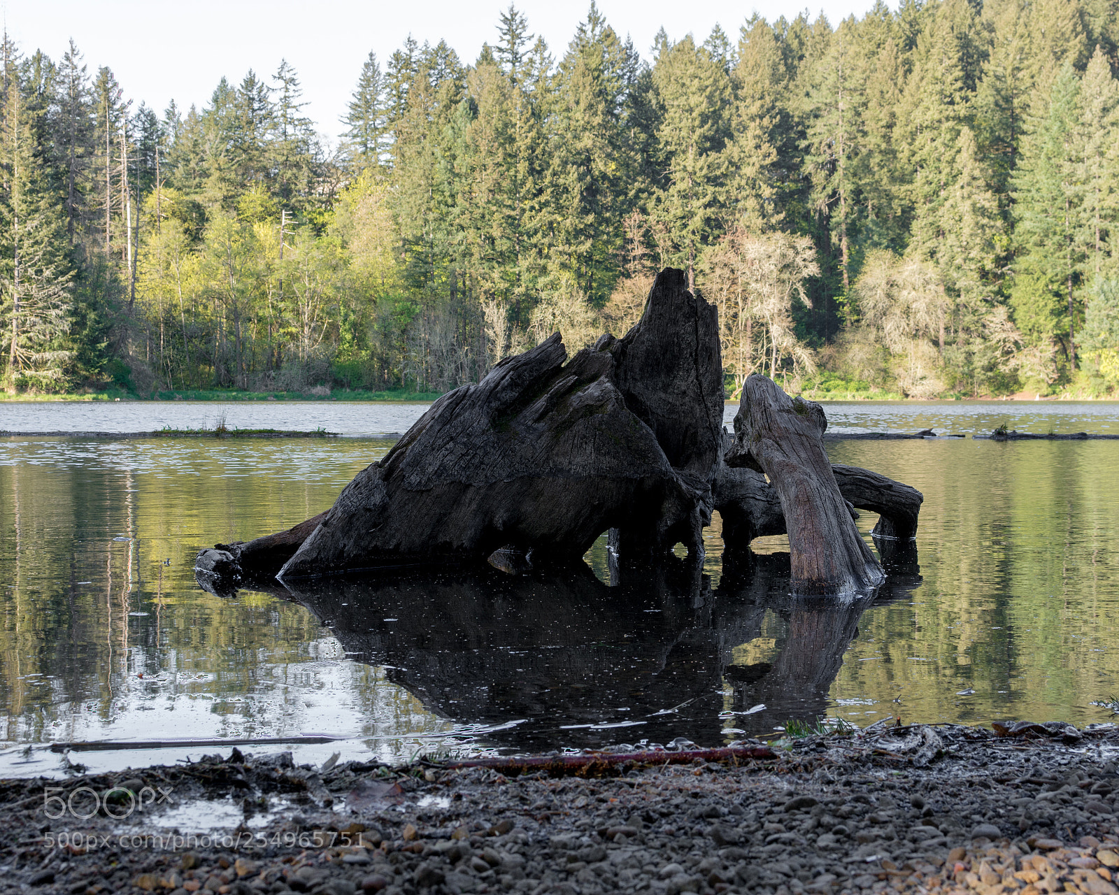 Nikon D7100 sample photo. Lake wood photography