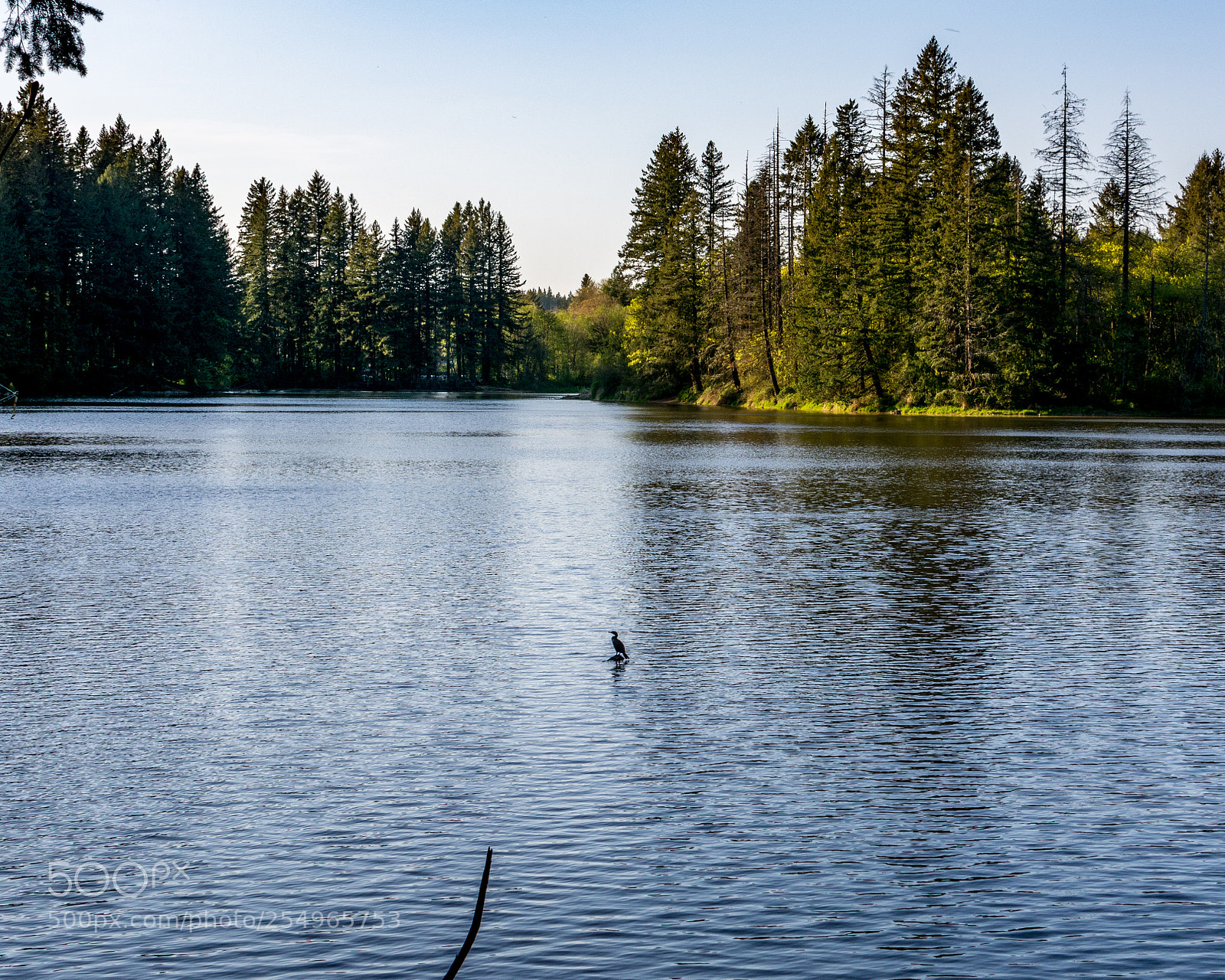 Nikon D7100 sample photo. Sitting alone photography