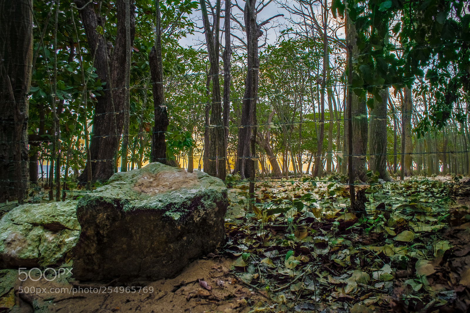 Nikon D5300 sample photo. Sunset is comming photography