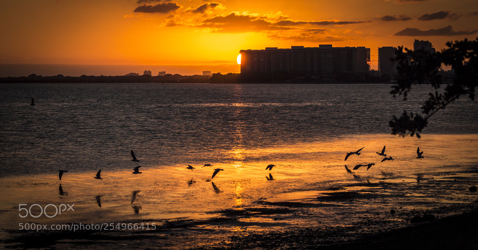 Canon EOS 700D (EOS Rebel T5i / EOS Kiss X7i) sample photo. Sunset  photography
