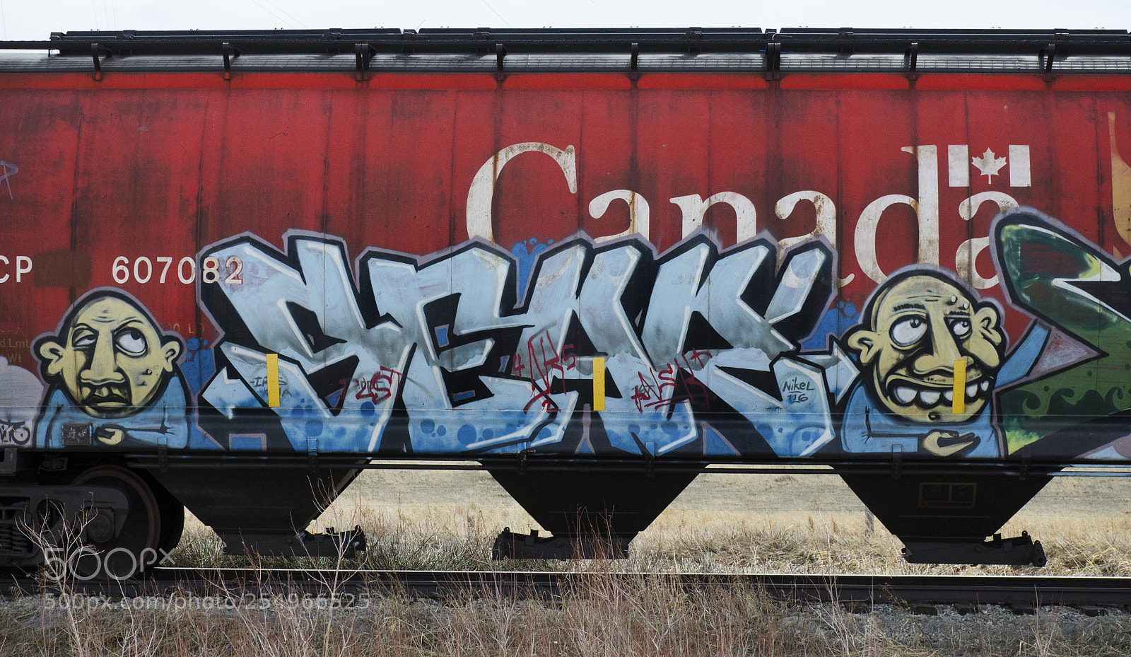 Nikon D7000 sample photo. Graffiti riding the rails 6 photography