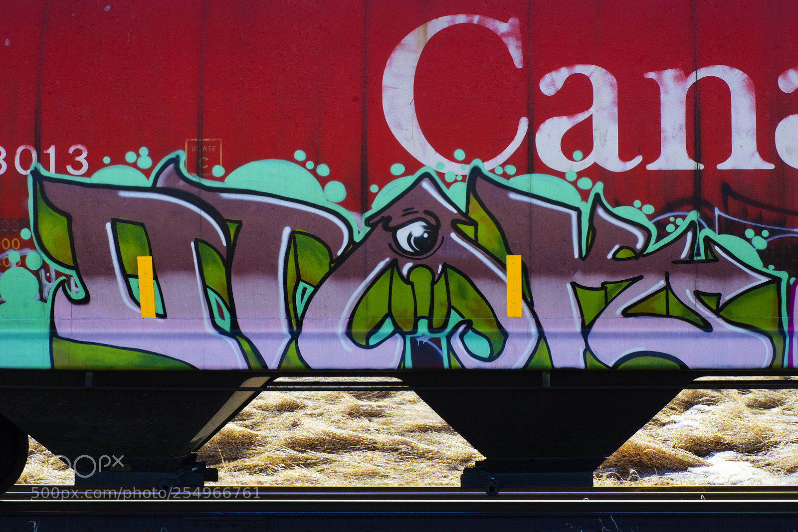 Nikon D7000 sample photo. Graffiti riding the rails 10 photography