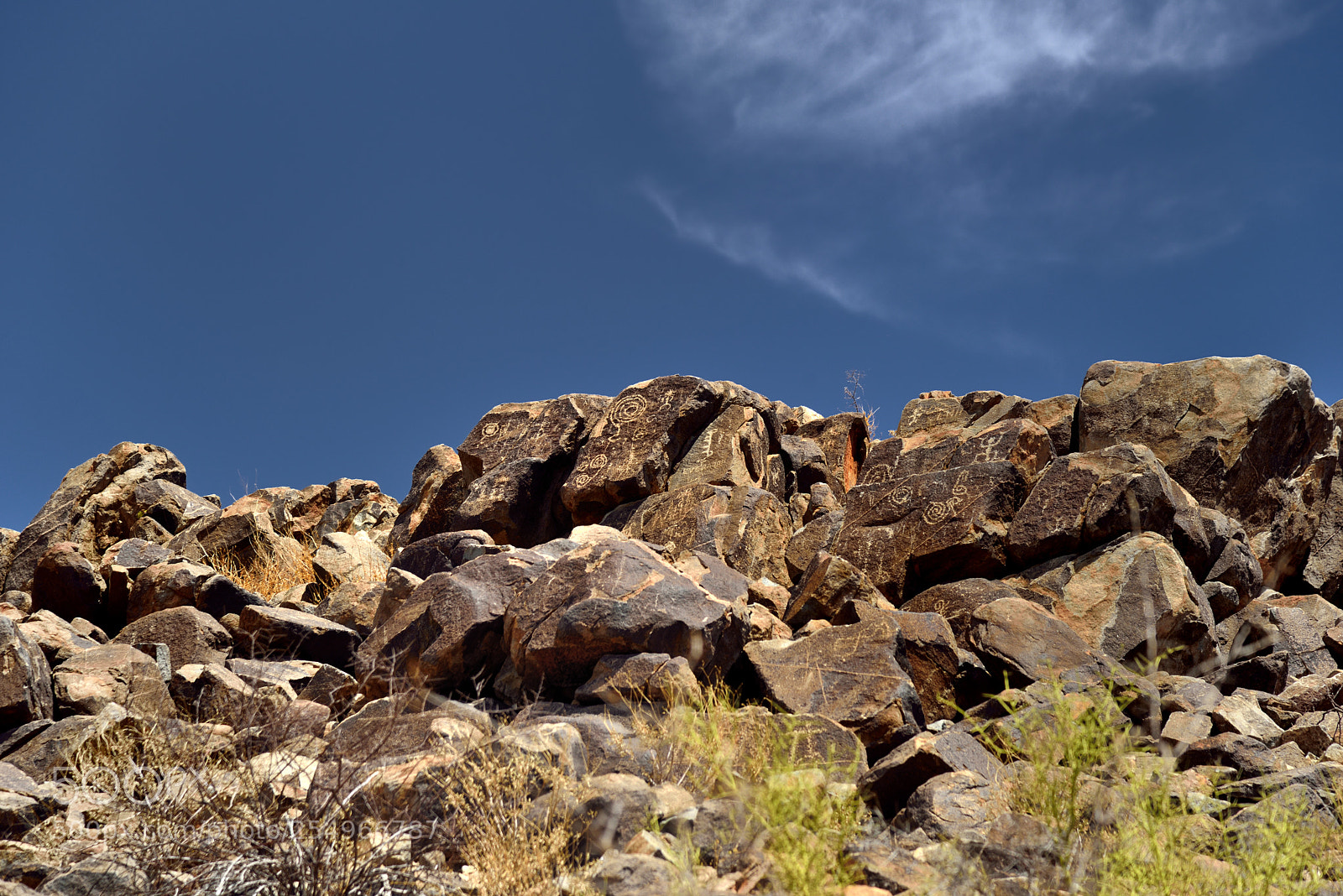 Nikon D800E sample photo. A hillside display of photography