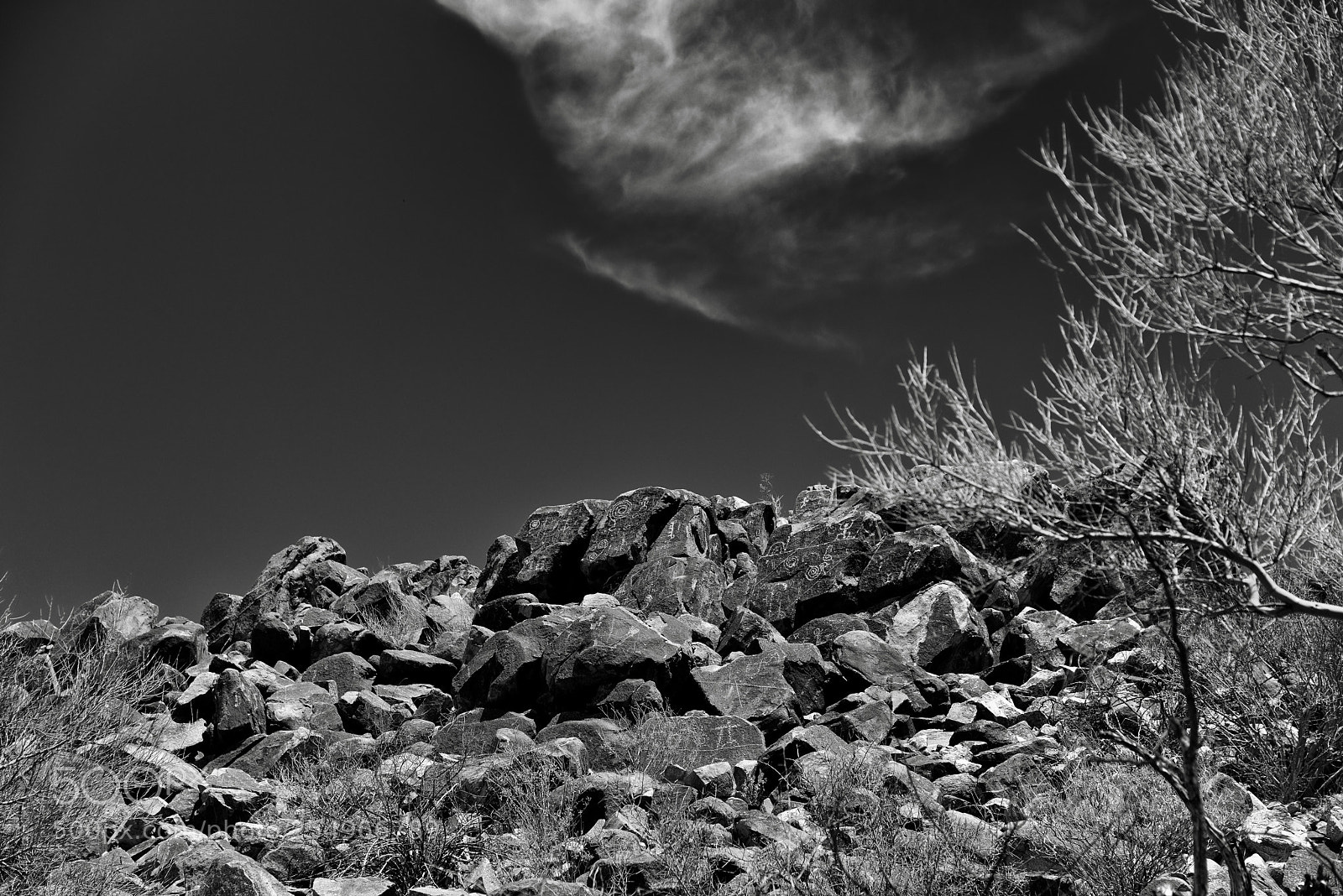 Nikon D800E sample photo. A hillside display of photography