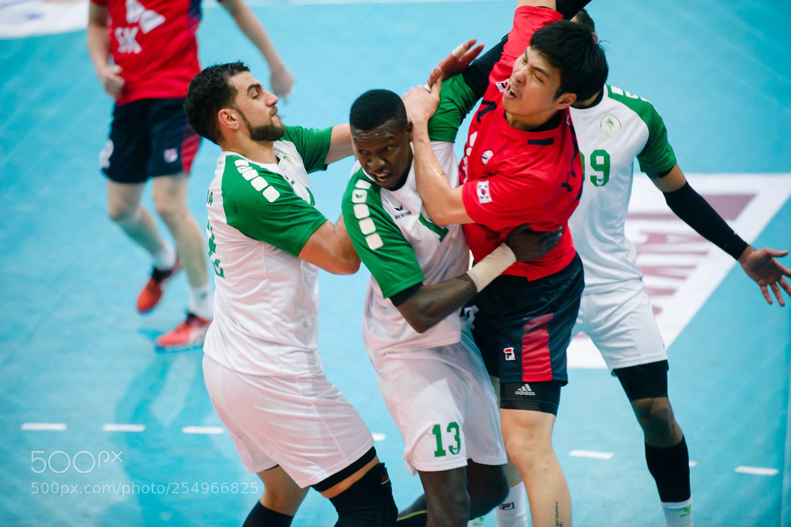 Nikon D700 sample photo. Handball photography