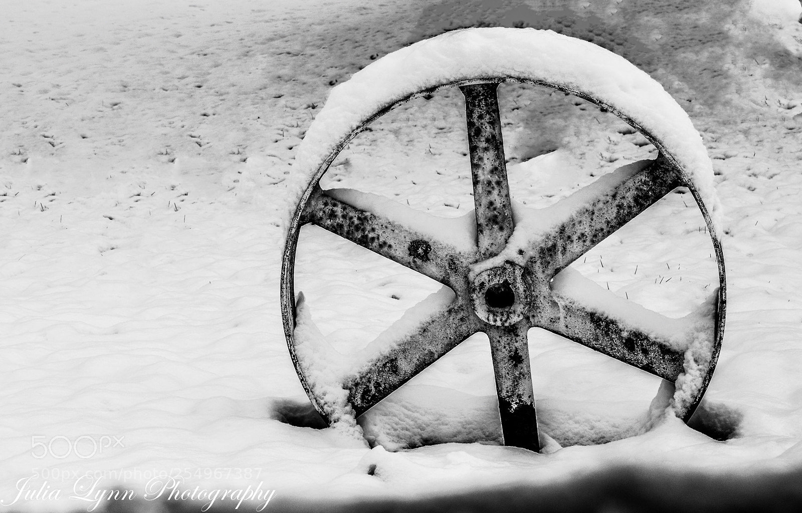 Nikon D3300 sample photo. The wheel photography