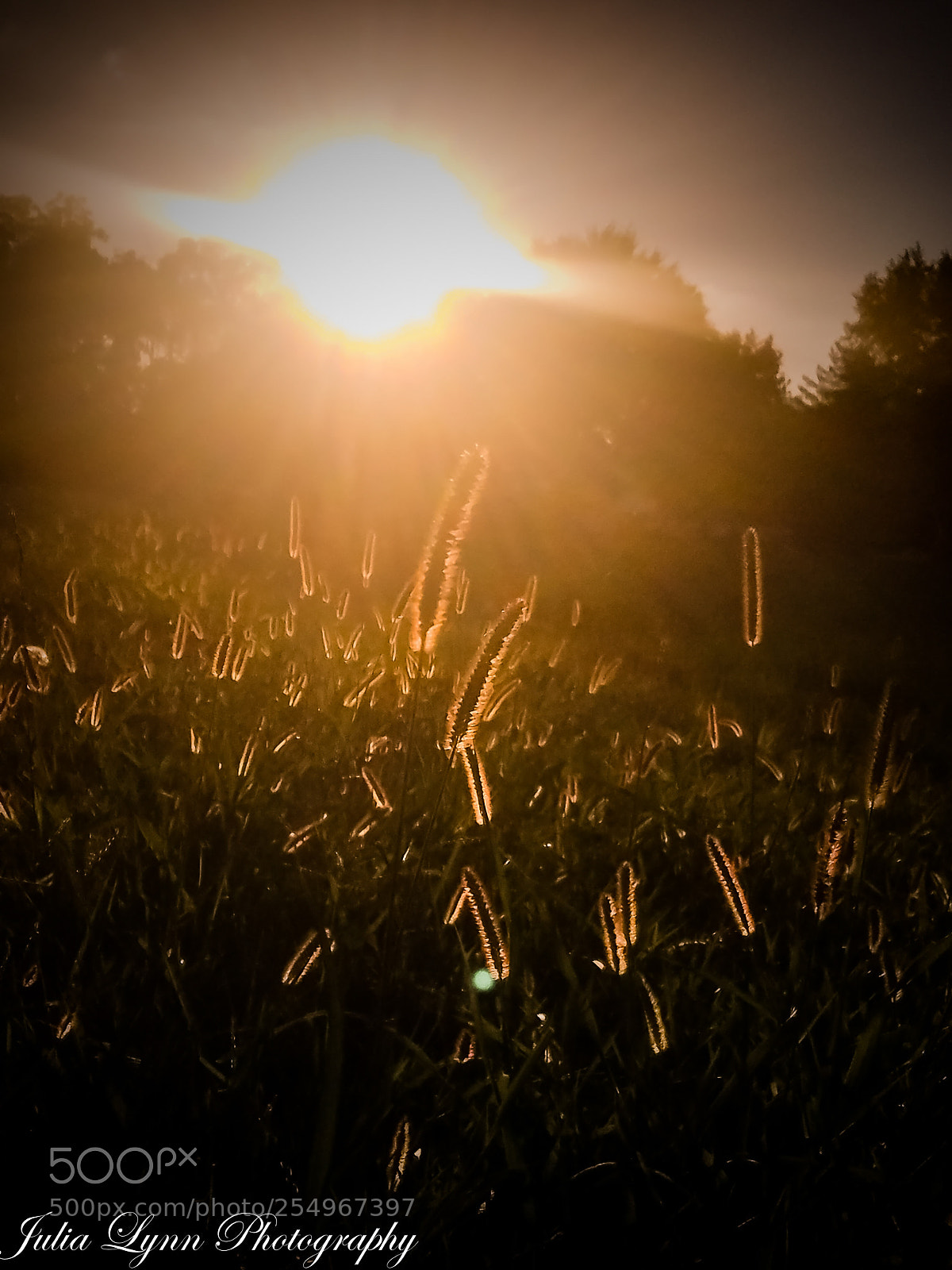 Samsung Galaxy S7 sample photo. The golden hour photography