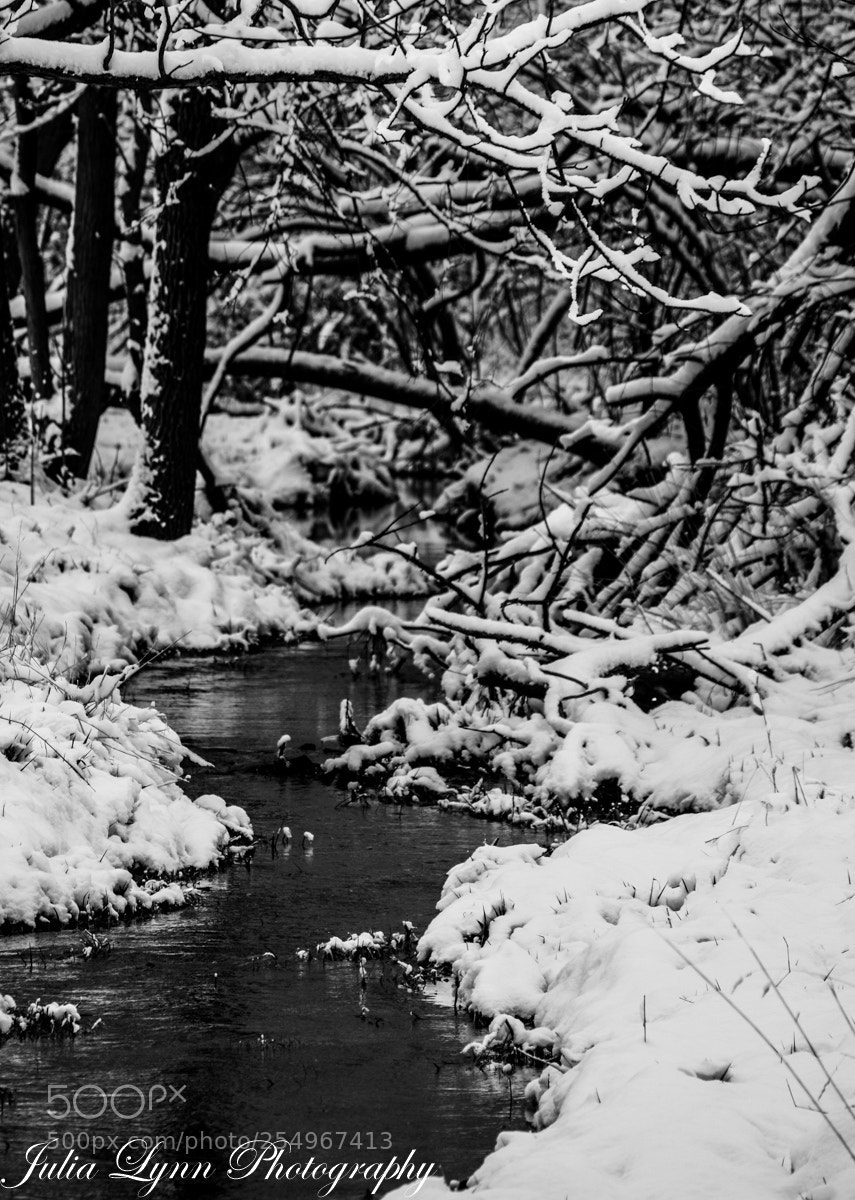 Nikon D3300 sample photo. The course photography