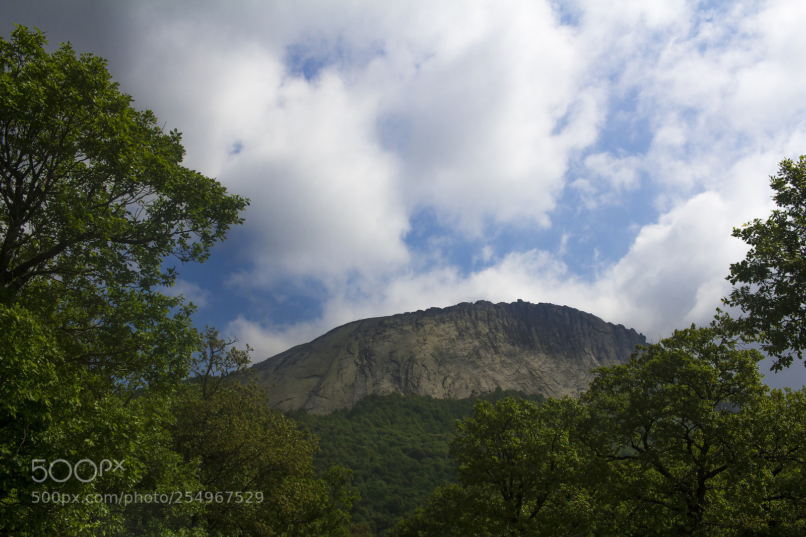 Canon EOS 700D (EOS Rebel T5i / EOS Kiss X7i) sample photo. Mountain woods photography