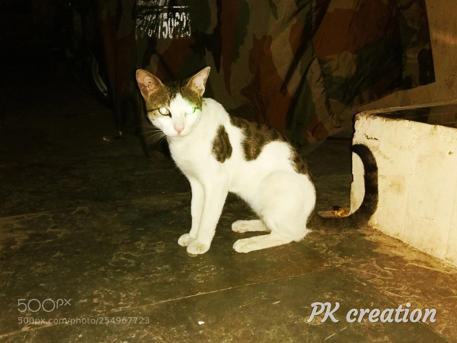 Xiaomi Redmi Note 4 sample photo. Untitled photography