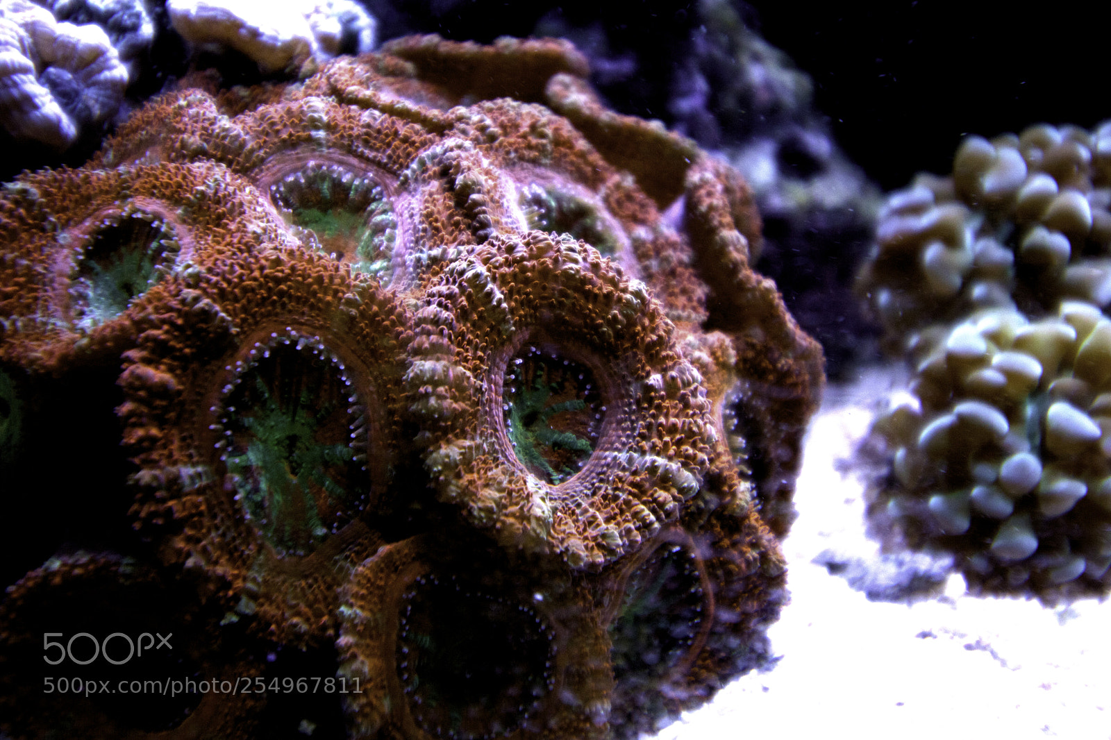Canon EOS 760D (EOS Rebel T6s / EOS 8000D) sample photo. Marine tech front page photography