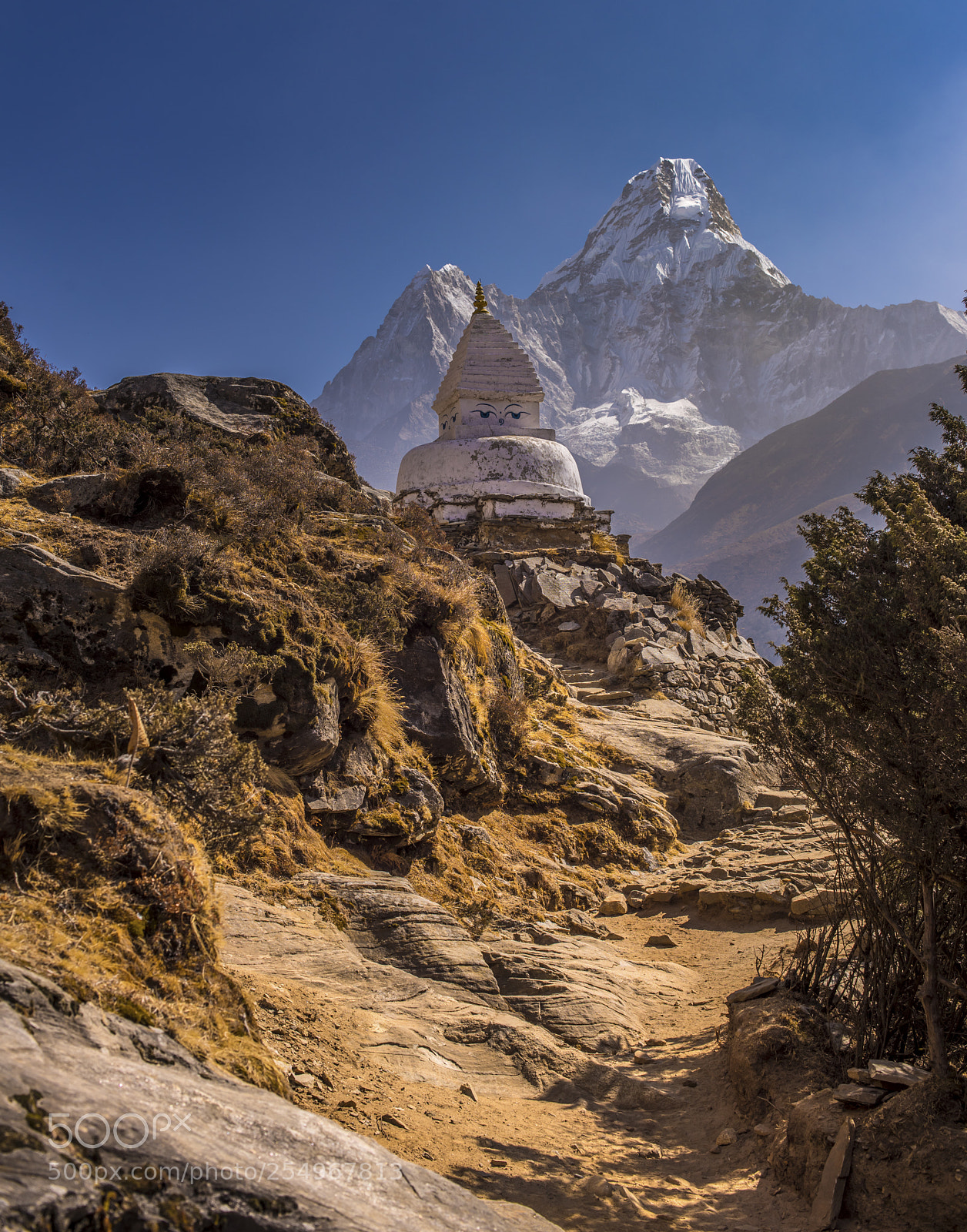 Nikon D810 sample photo. Trail magic photography