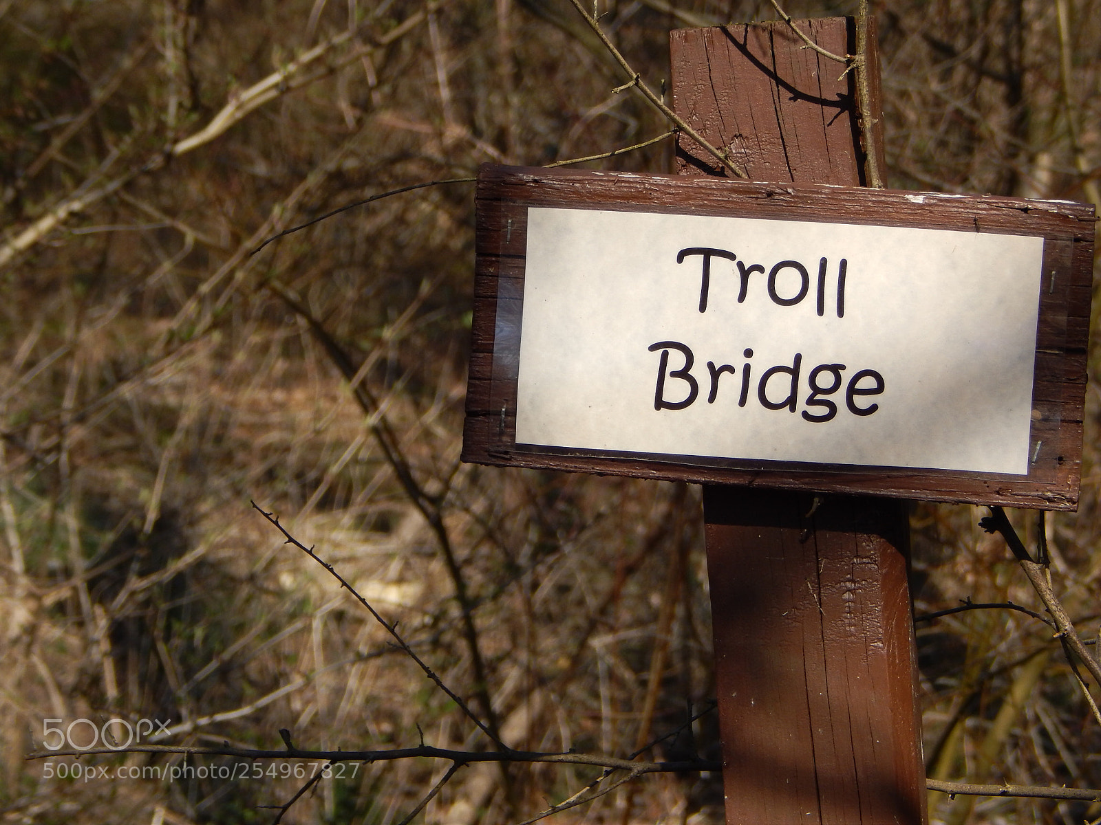 Nikon Coolpix L820 sample photo. Troll bridge  photography