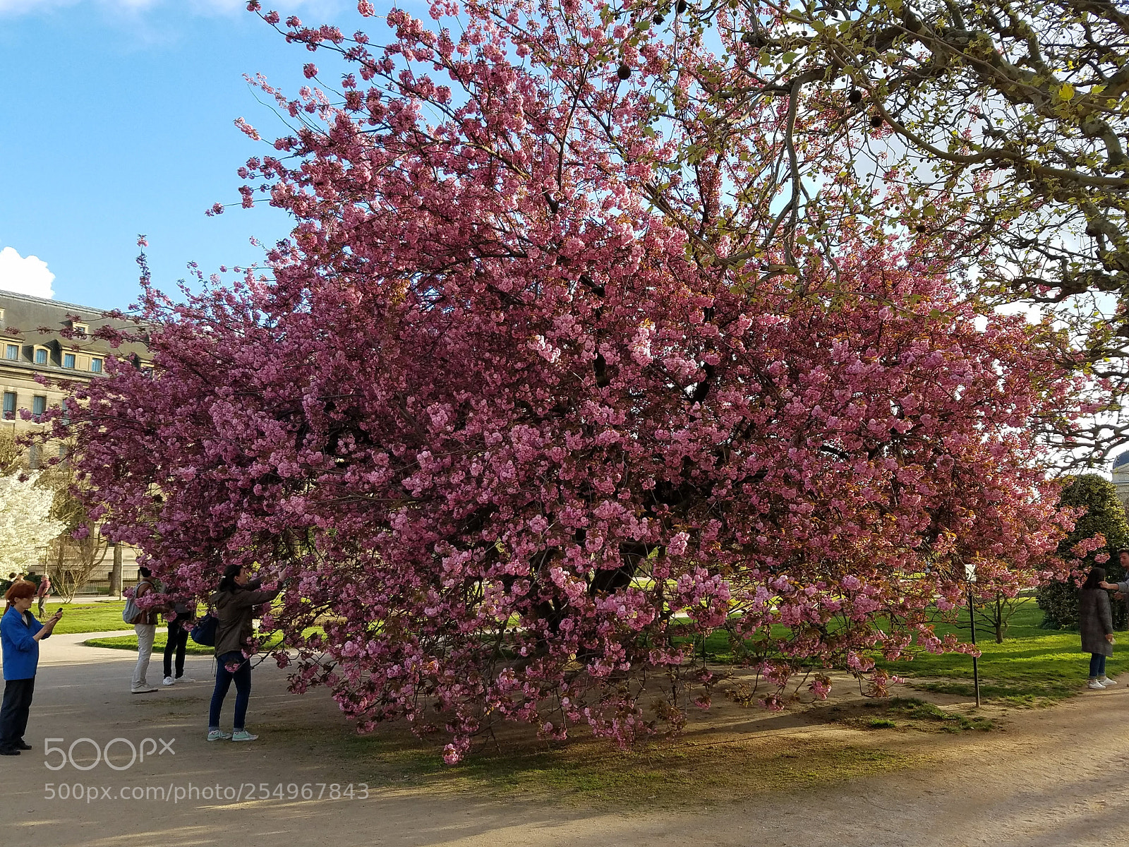 Samsung Galaxy S7 sample photo. Bouquet de printemps photography